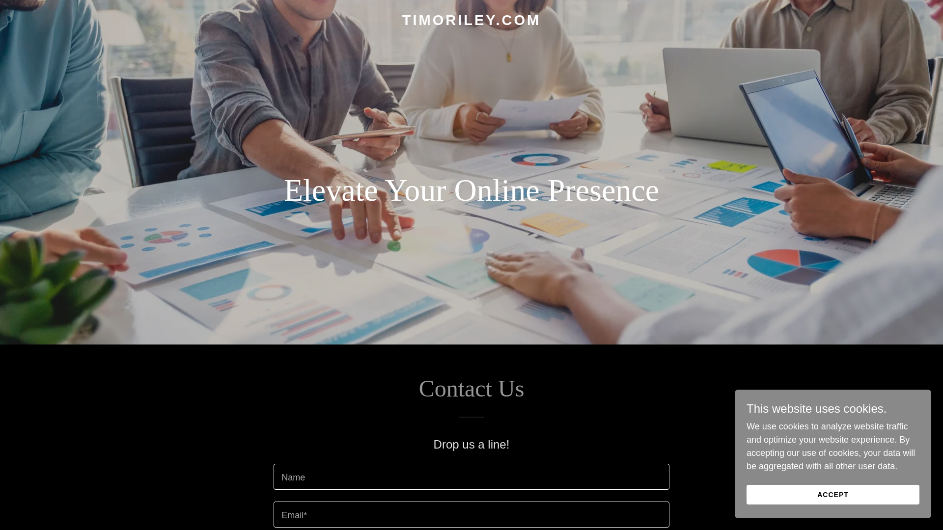 website screenshot of https://timoriley.com/