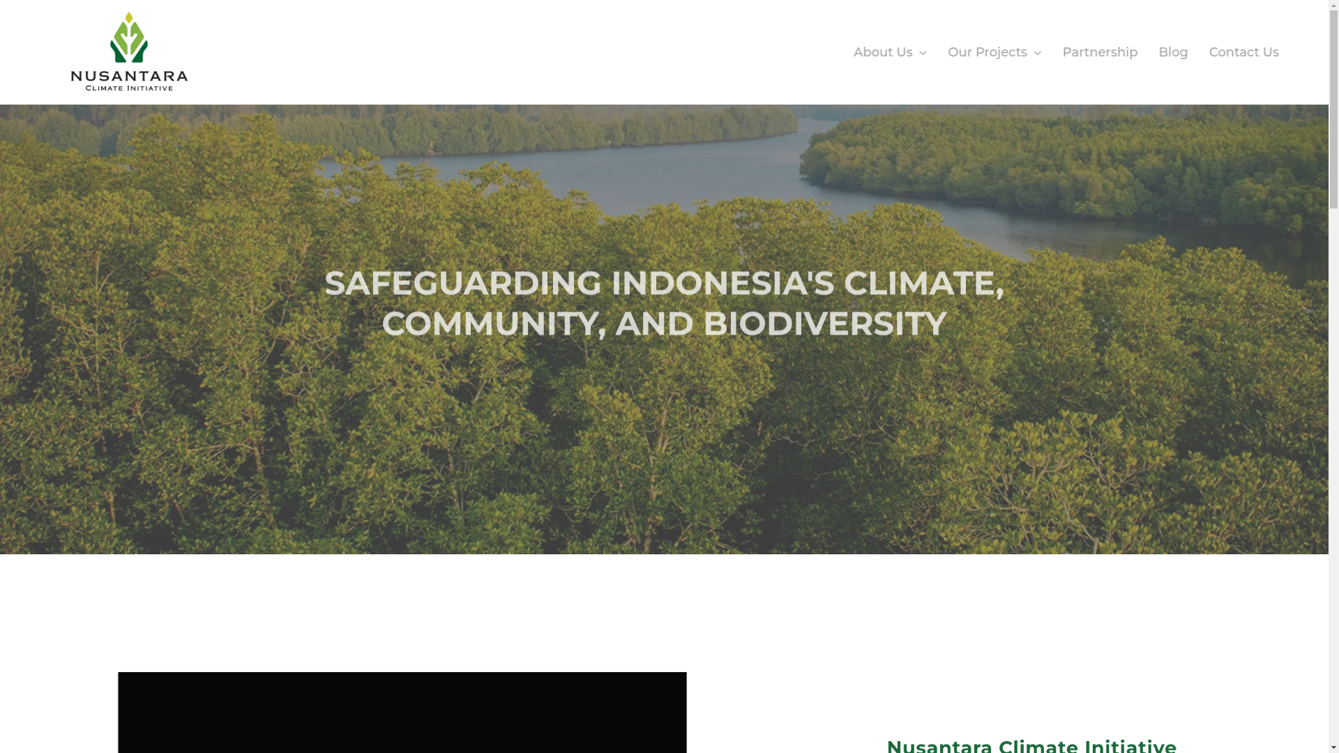 website screenshot of https://nusantaraclimate.co.id/