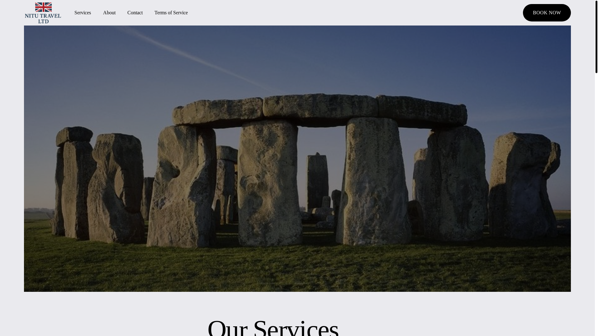 website screenshot of https://nitutravel.online/