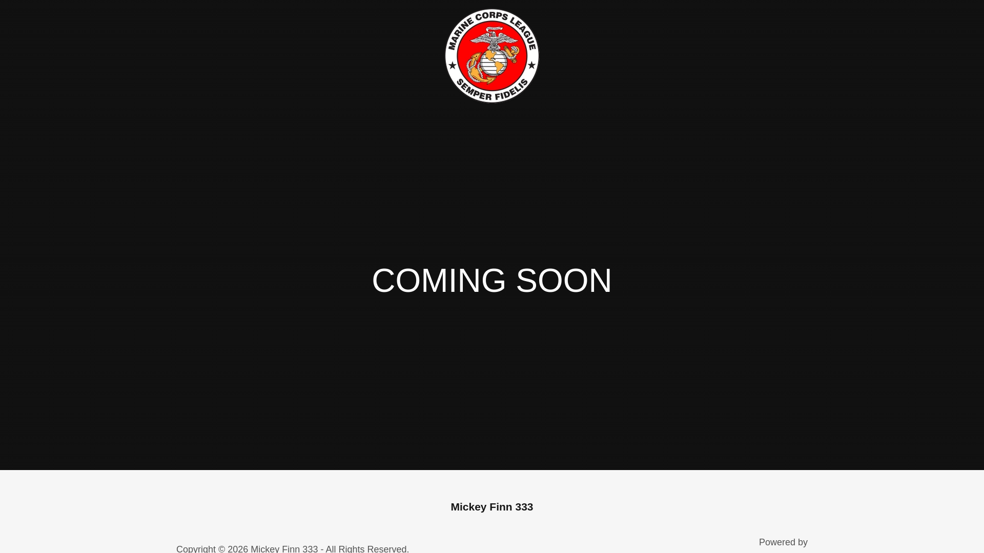 website screenshot of https://mickeyfinn333.org/