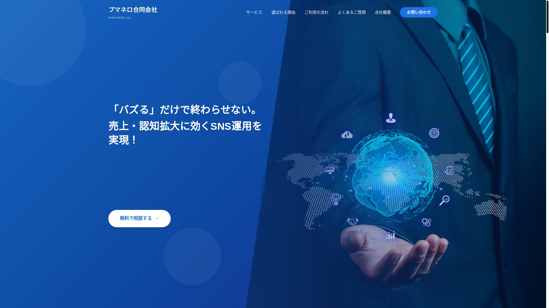 website screenshot of https://pumanero.com/