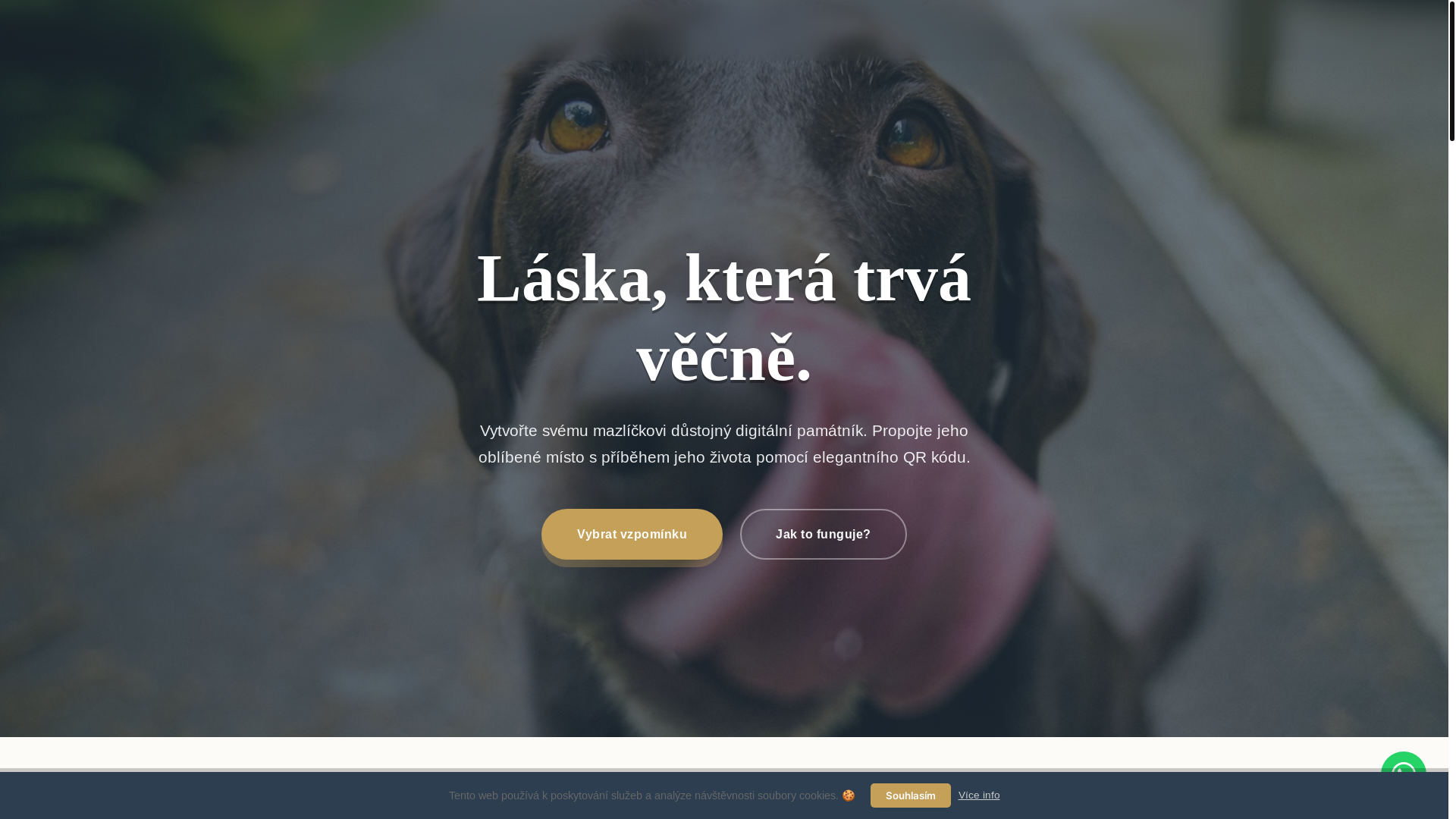 website screenshot of https://profilmazlicka.cz/