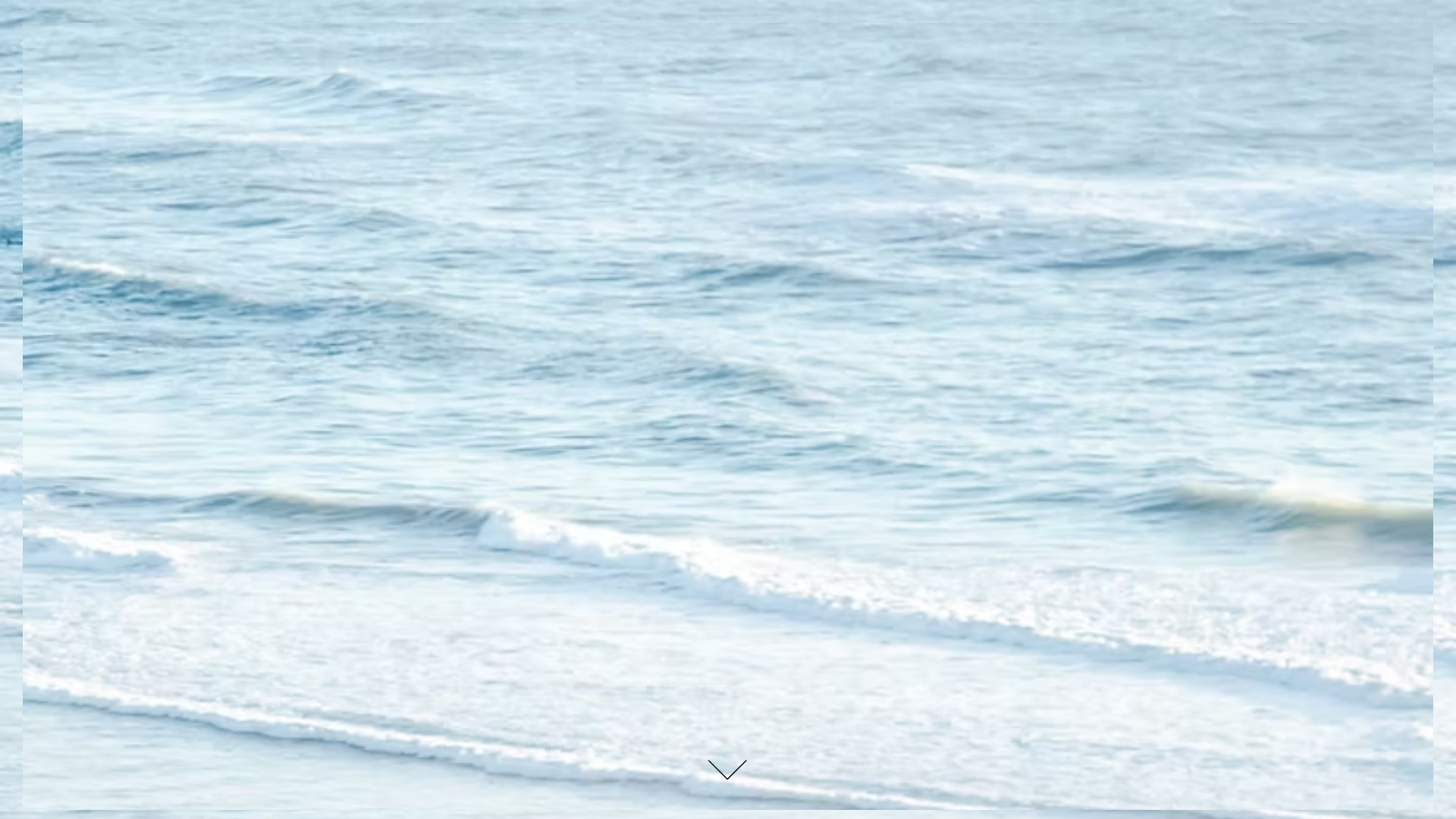 website screenshot of https://netiandharschal.com/