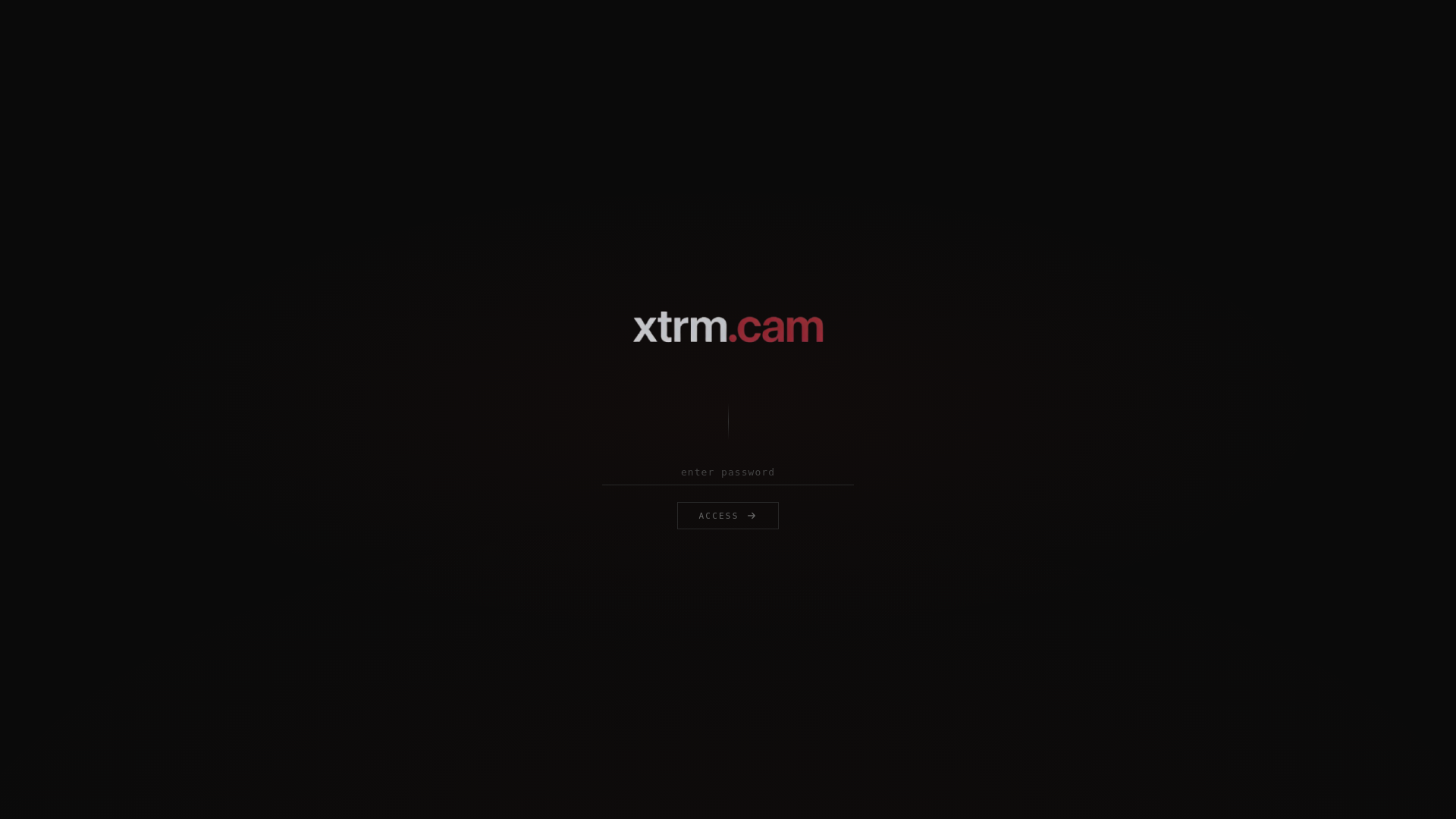 website screenshot of https://xtrm.cam/