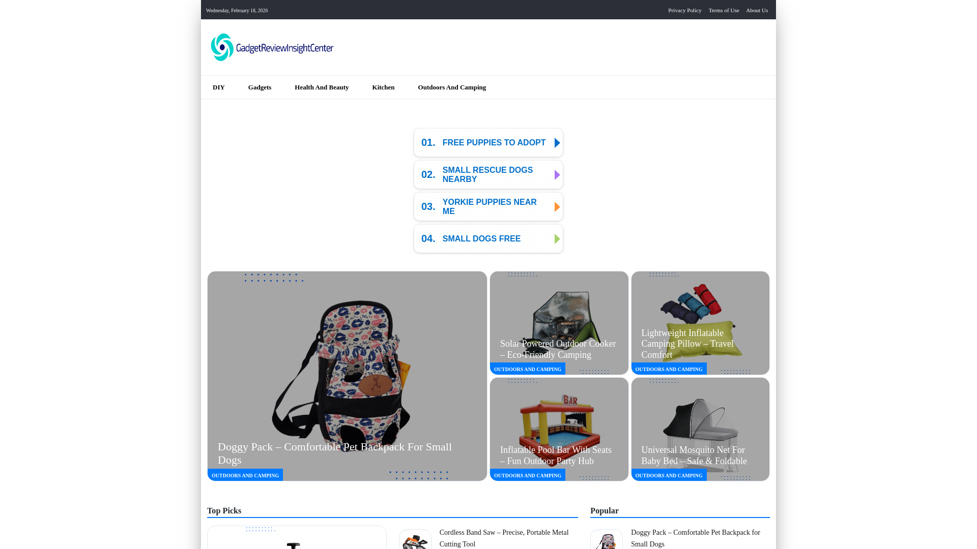 website screenshot of https://gadgetreviewinsightcenter.com/