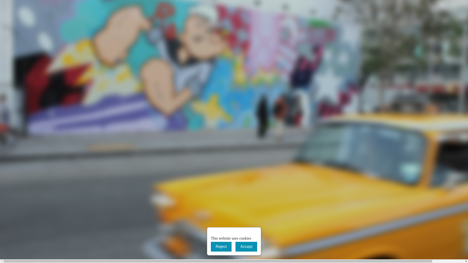 website screenshot of https://rivieramanwithavan.co.uk/
