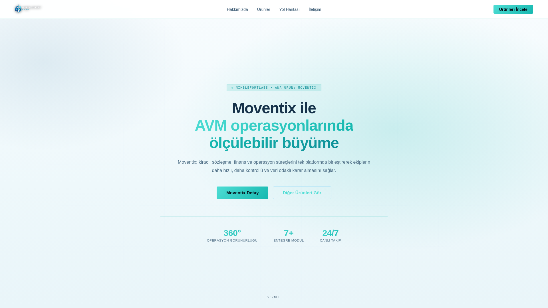 website screenshot of https://nimblefortlabs.pages.dev/