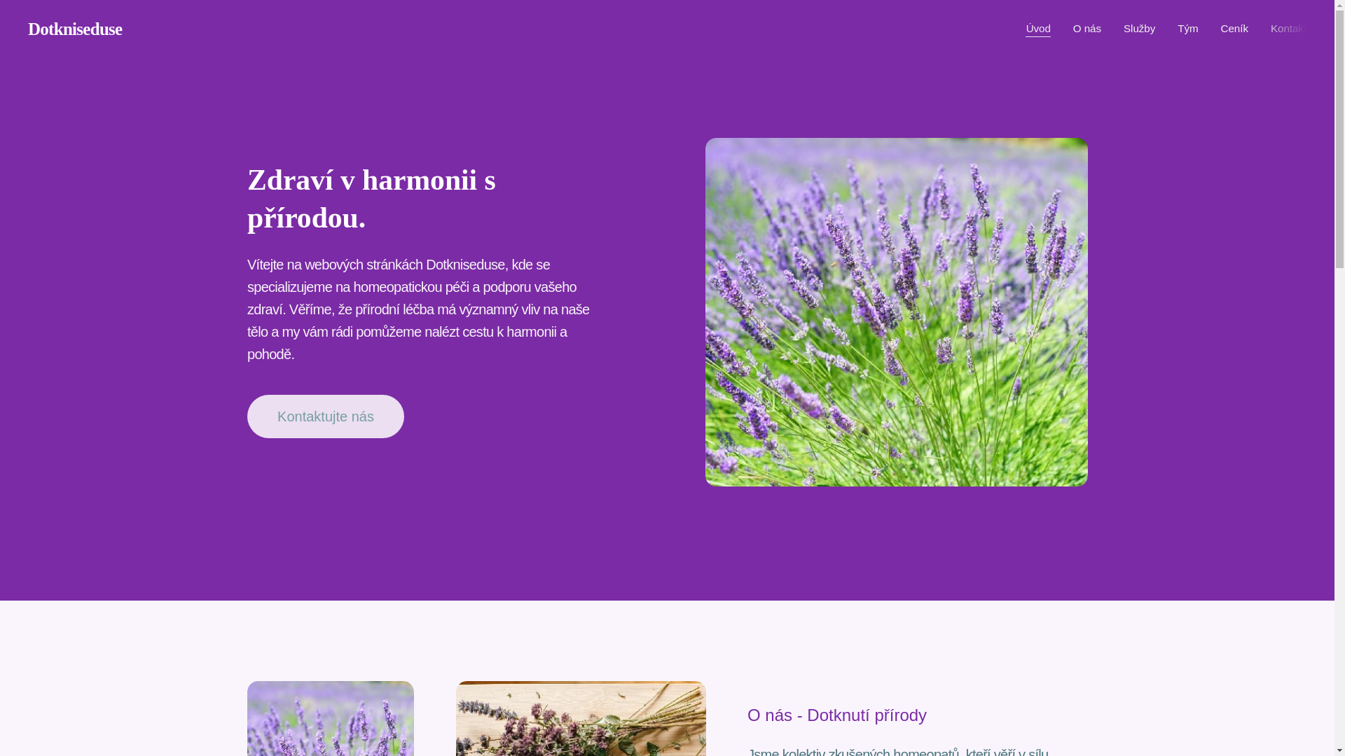 website screenshot of https://dotkniseduse.cz/