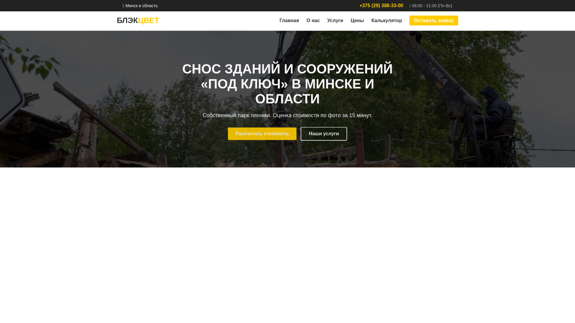 website screenshot of https://blackcvet-site.pages.dev/