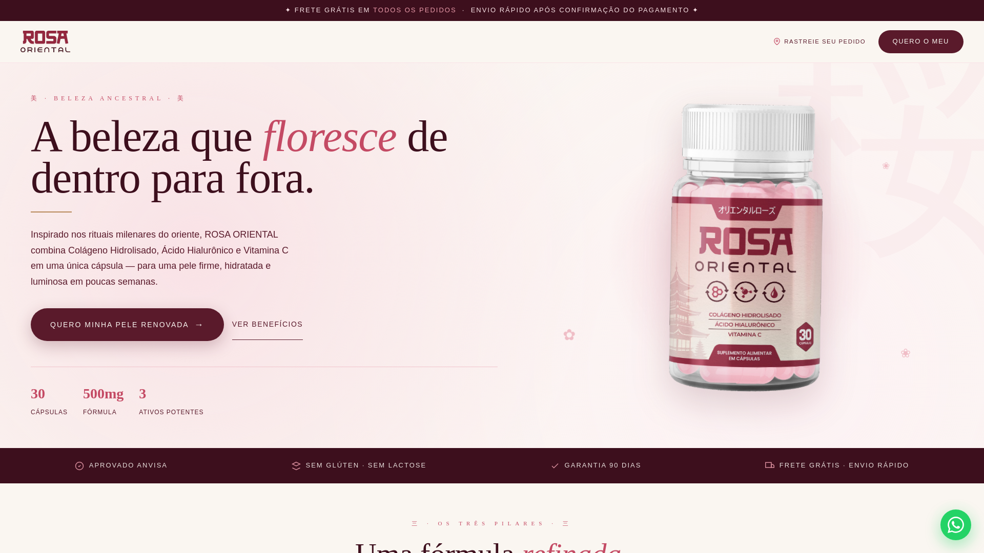 website screenshot of https://meurosaoriental.com.br/