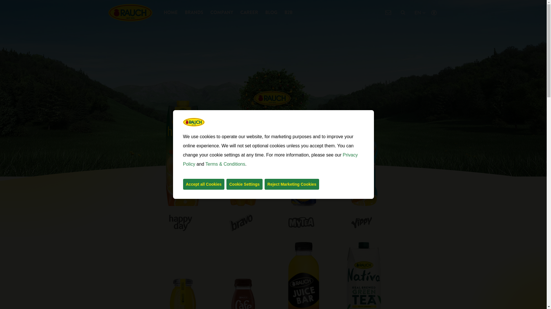 website screenshot of https://rauch.cc/