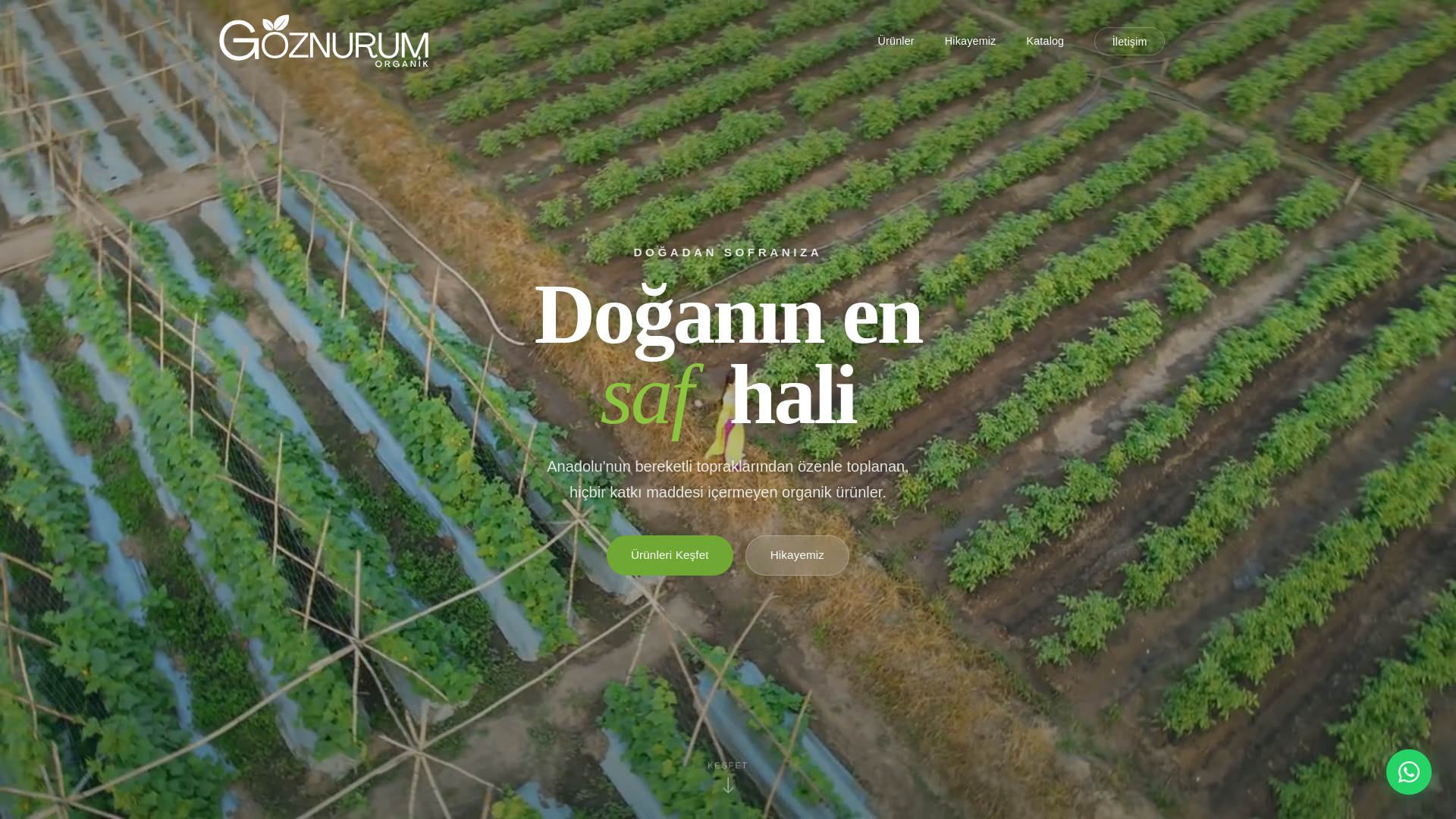 website screenshot of https://goznurumorganik.com/