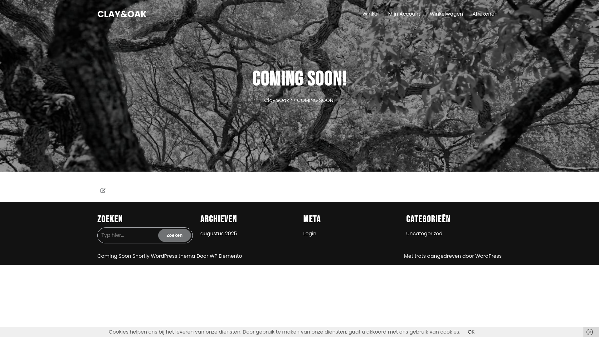 website screenshot of https://clayandoak.nl/