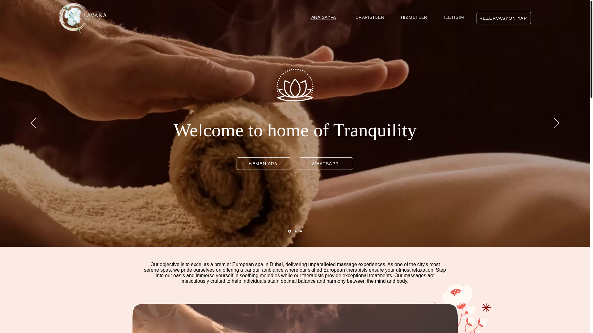 website screenshot of https://izmirlavanamasaj.com/