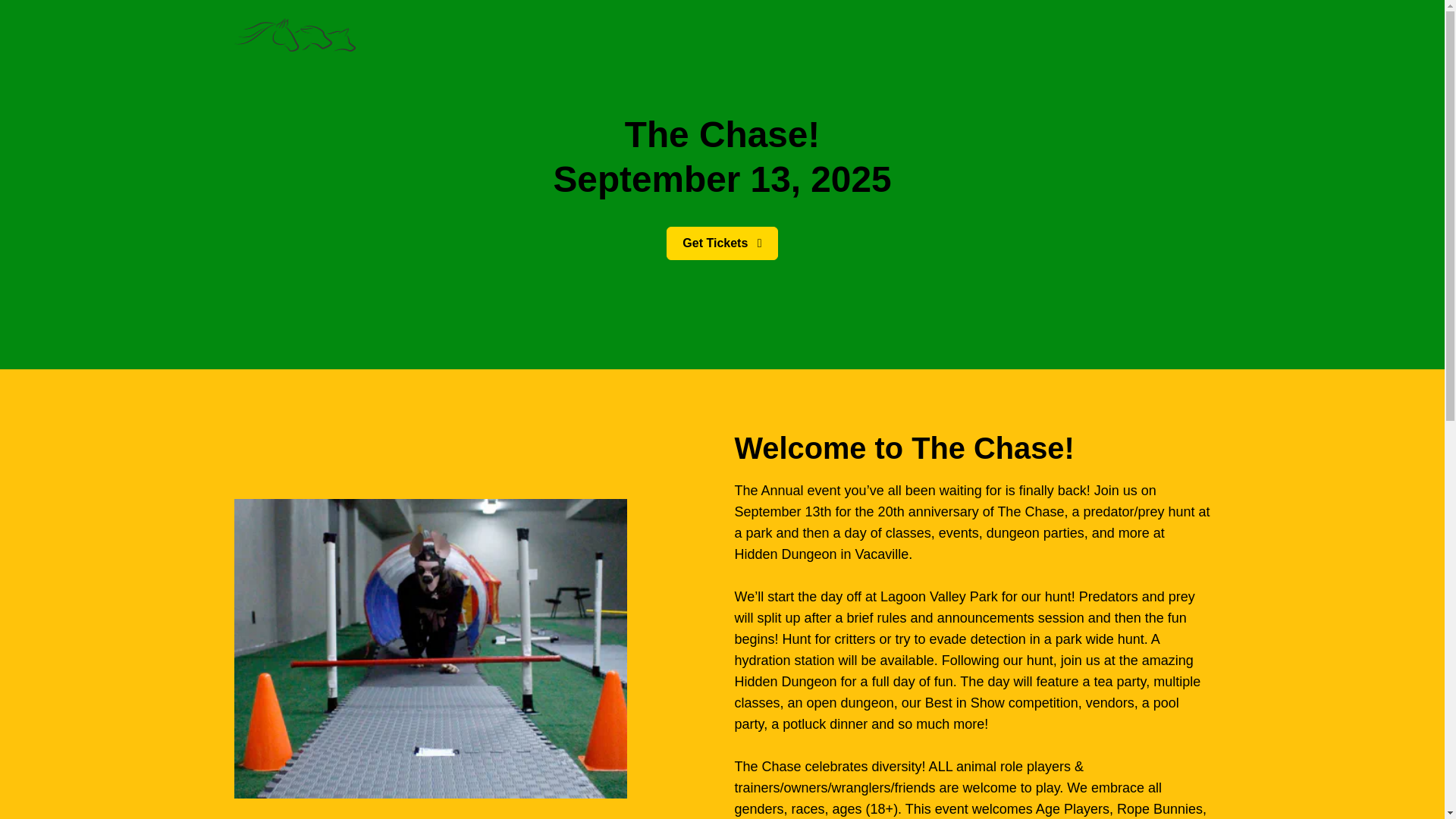 website screenshot of https://chase-e9m.pages.dev/