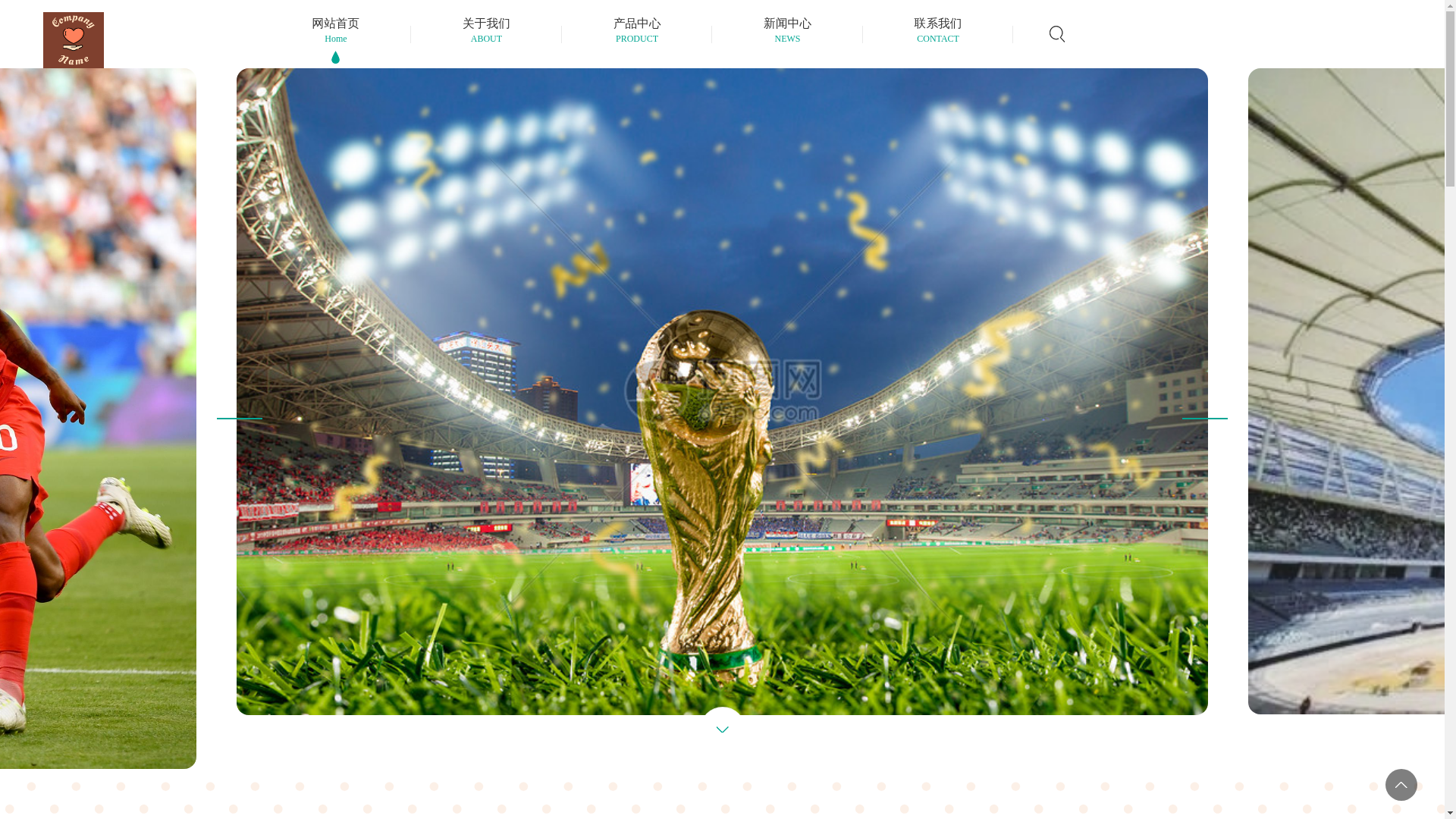 website screenshot of https://cnweb-9qiu.com/