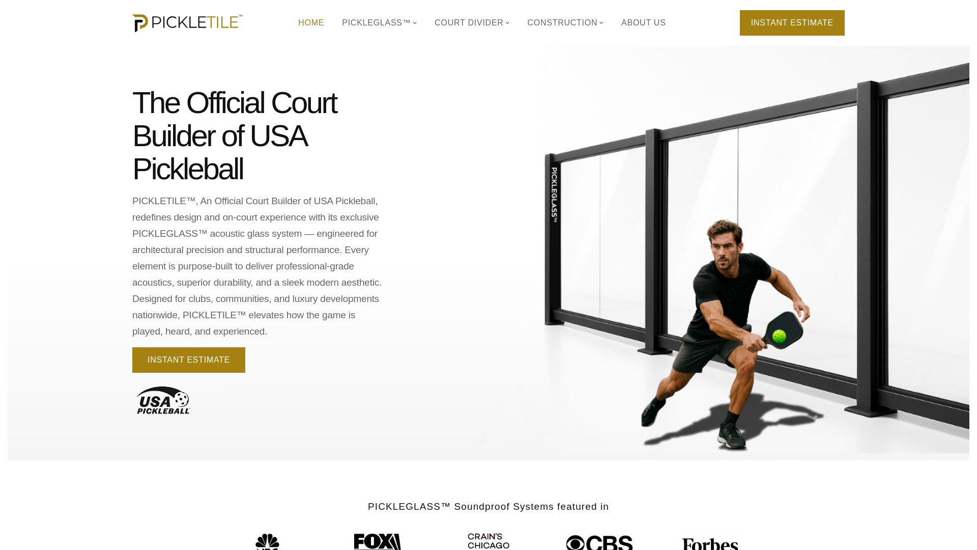 website screenshot of https://pickletilepartner.co/