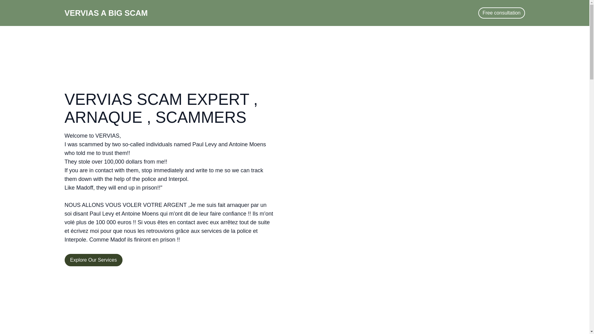 website screenshot of https://vervias.net/
