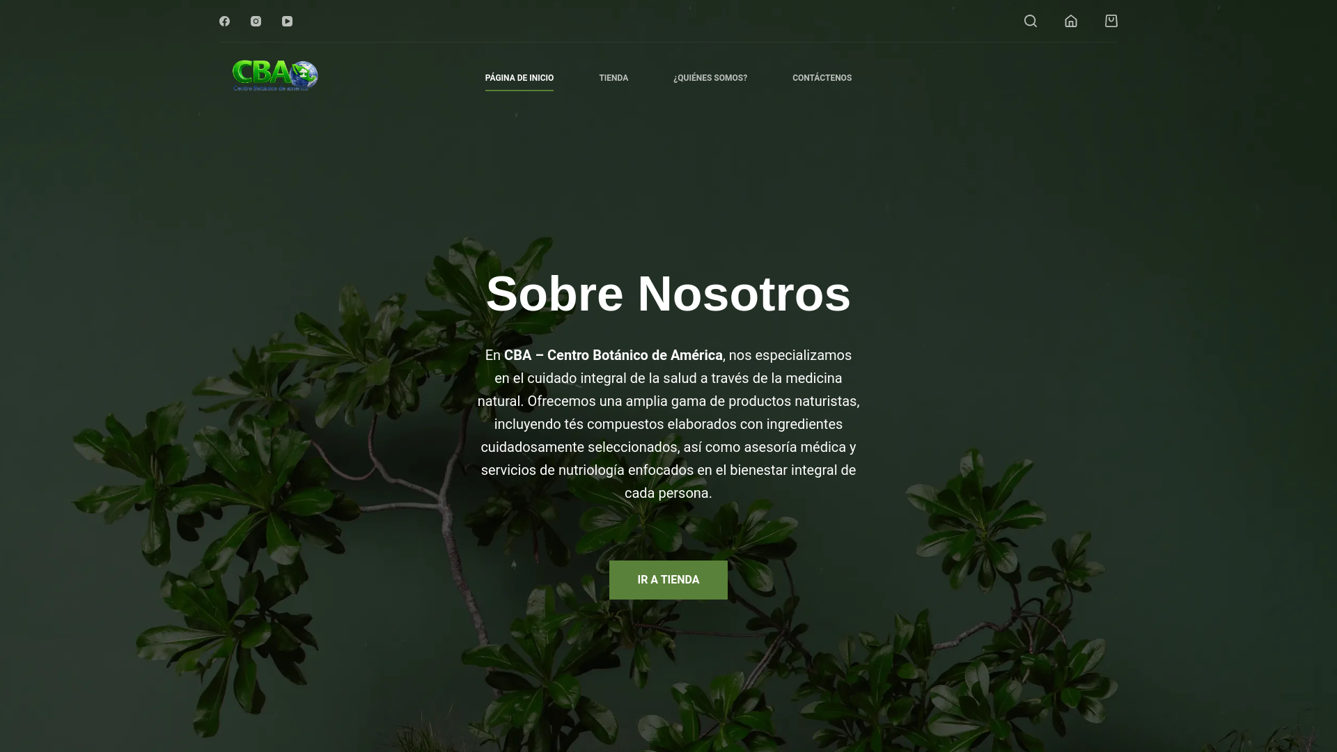 website screenshot of https://centrobotanicodeamerica.com