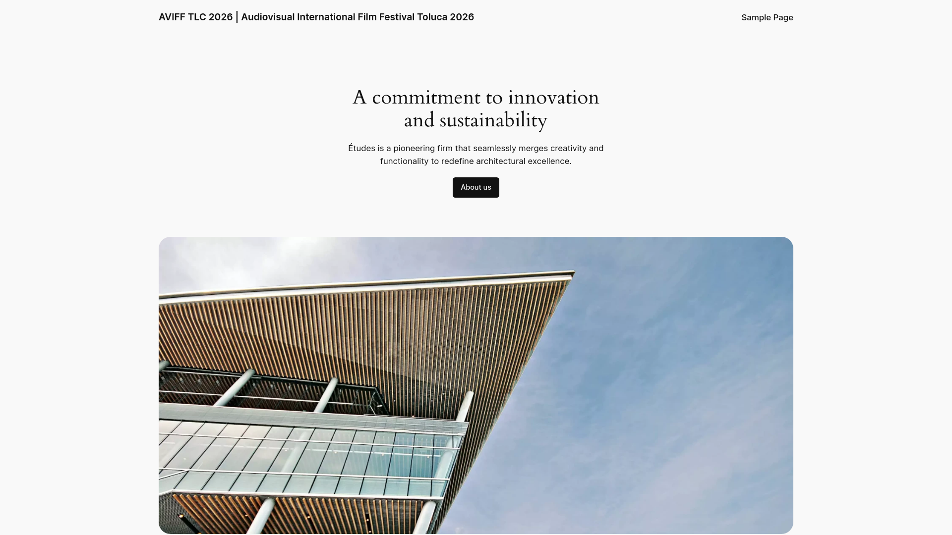 website screenshot of https://aviff.mx/