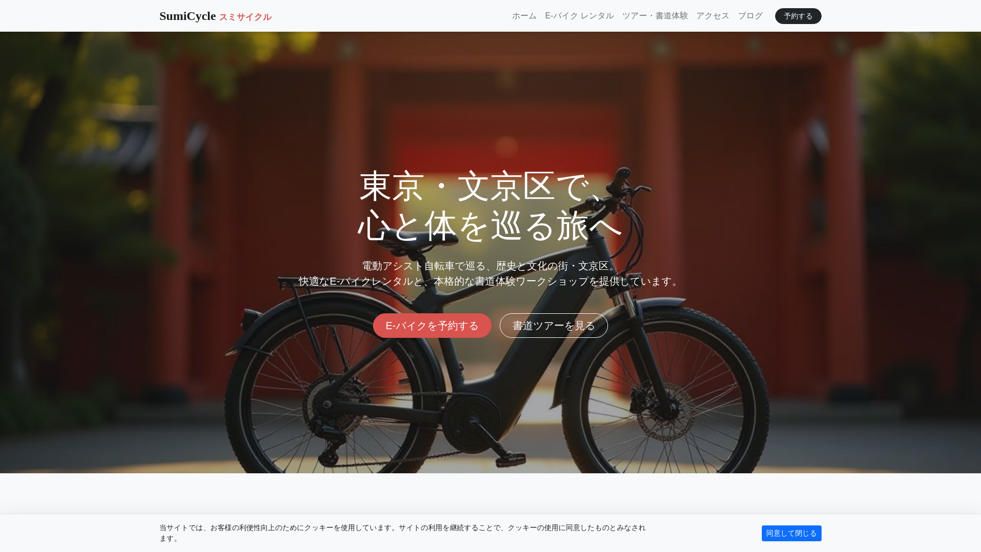 website screenshot of https://bikhtech.com