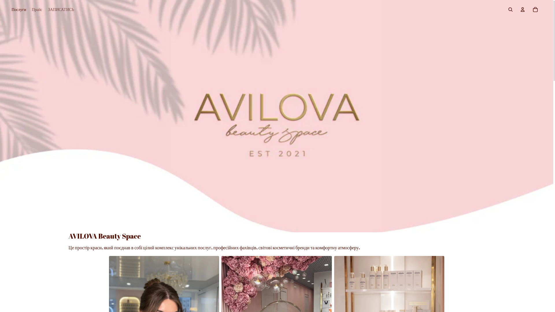website screenshot of https://avilova.com.ua/