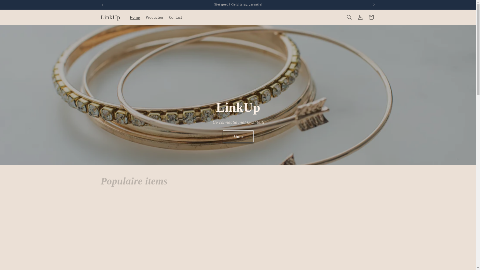 website screenshot of https://linkup-nederland.nl/