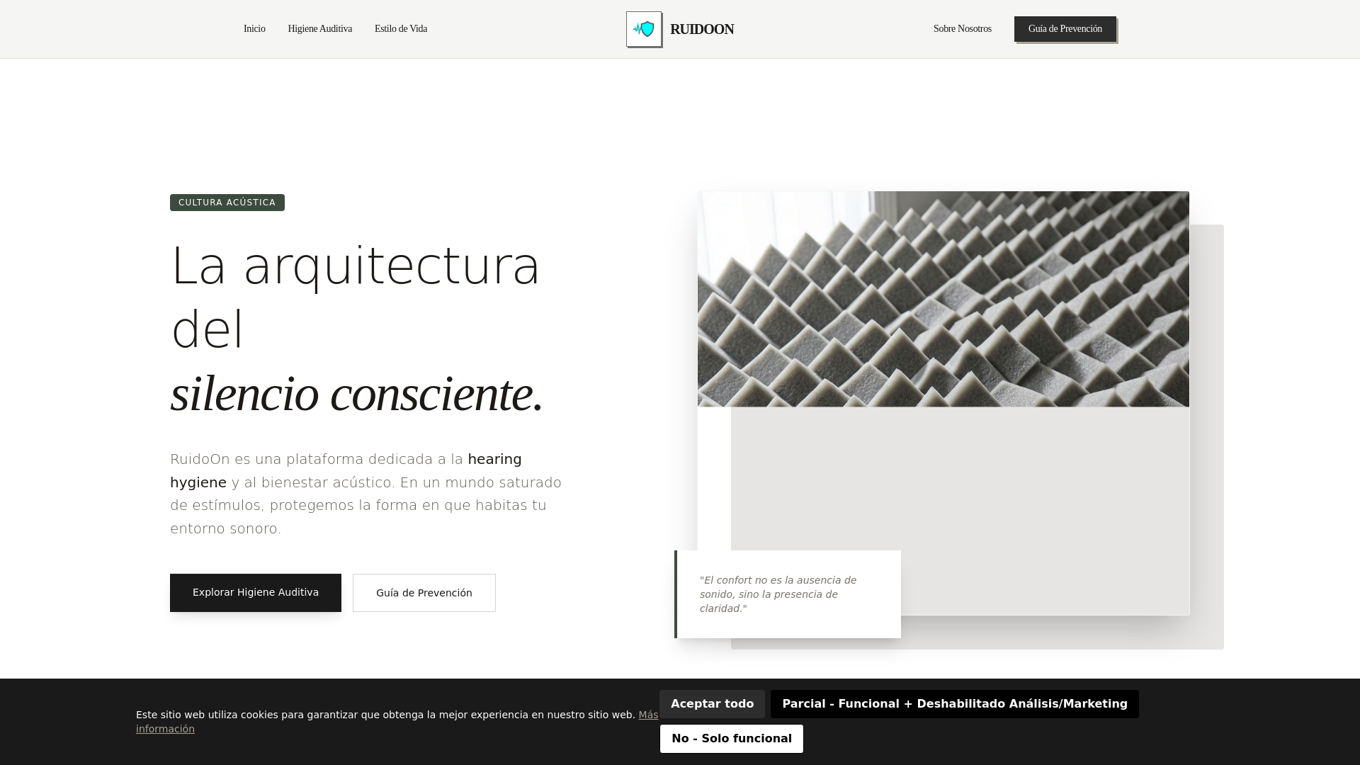 website screenshot of https://ruidoon.info/