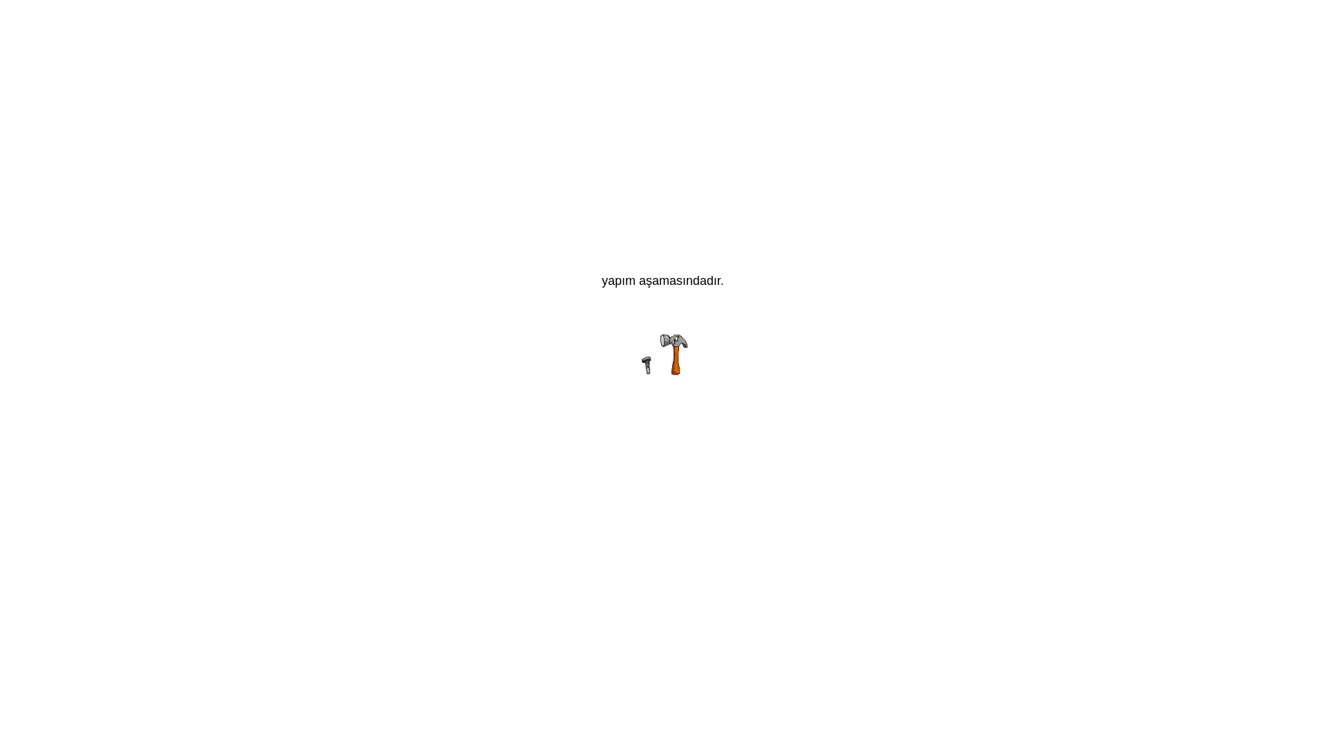 website screenshot of https://teoriksafety.com/