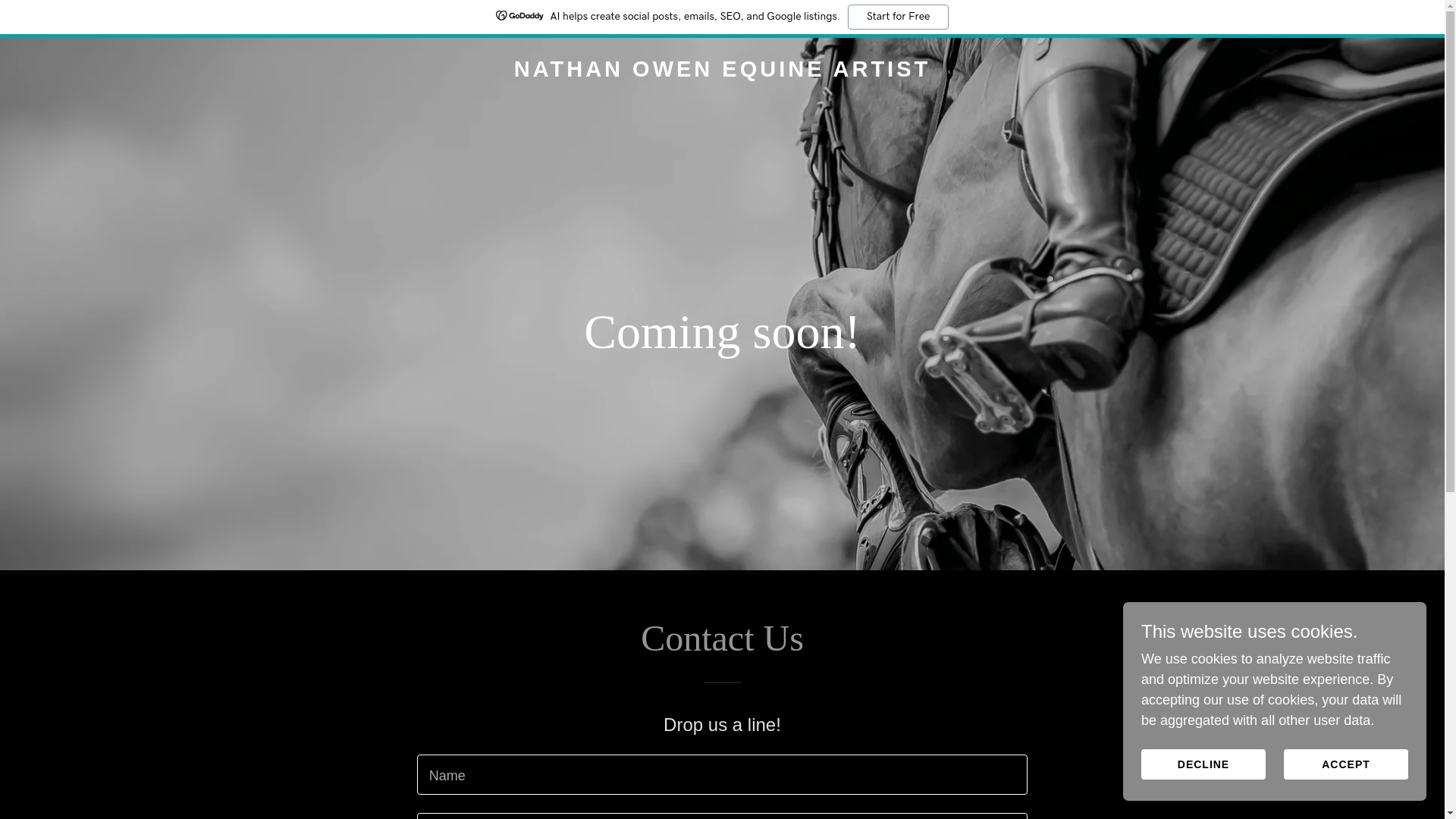 website screenshot of https://theequestriangallery.com/