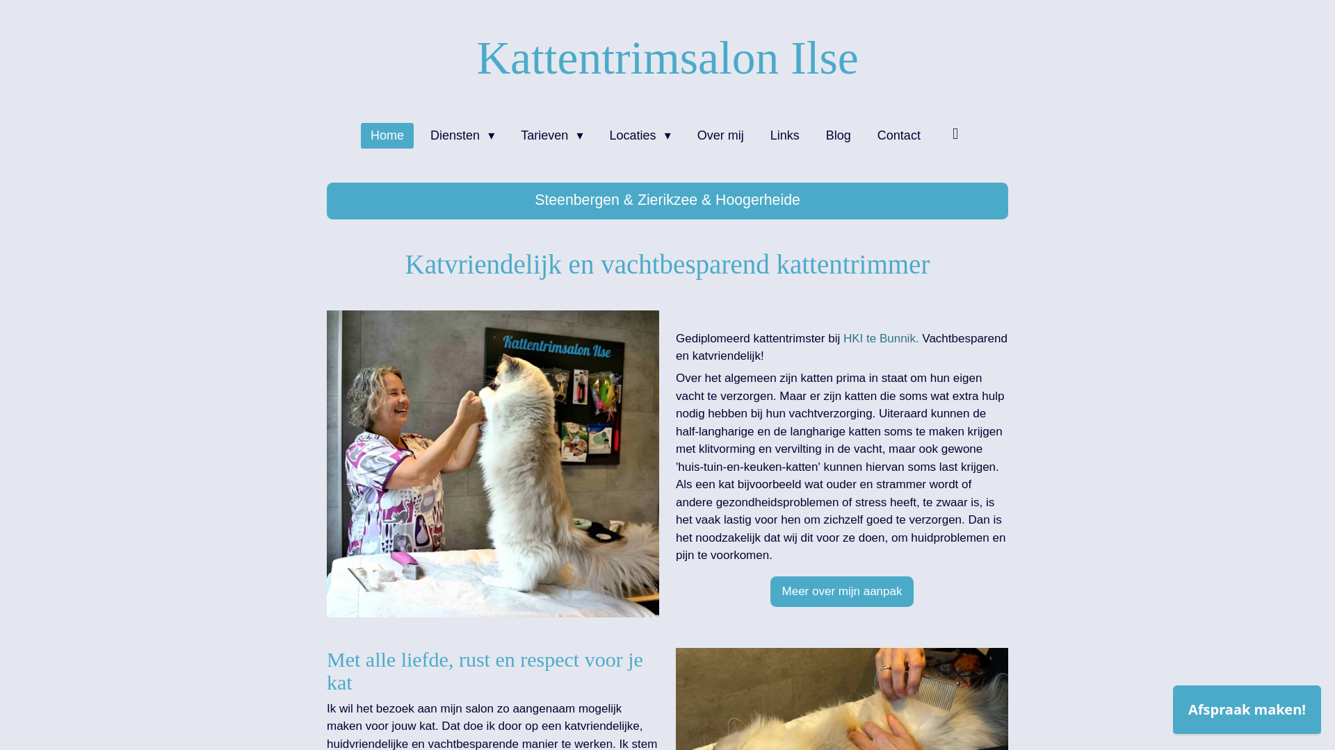 website screenshot of https://kattentrimsalonhoogerheide.nl