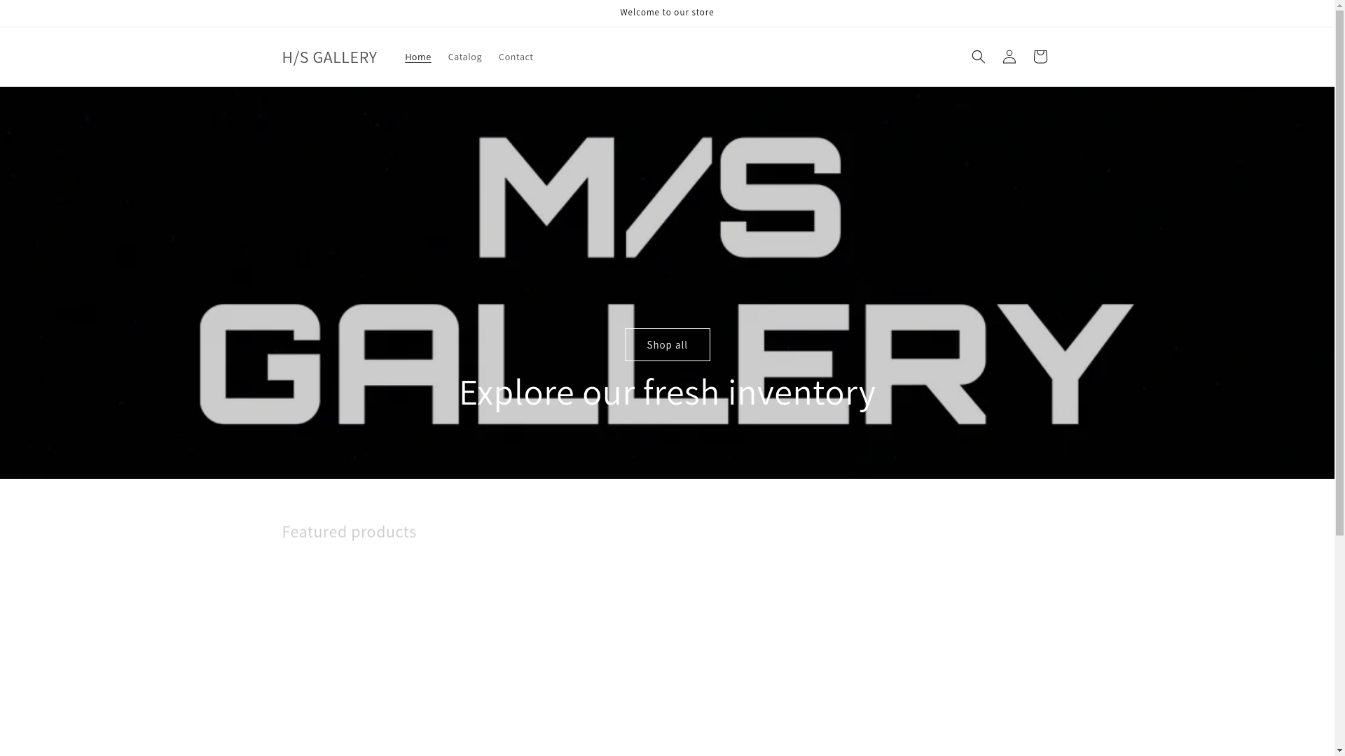 website screenshot of https://hsgallery.online/