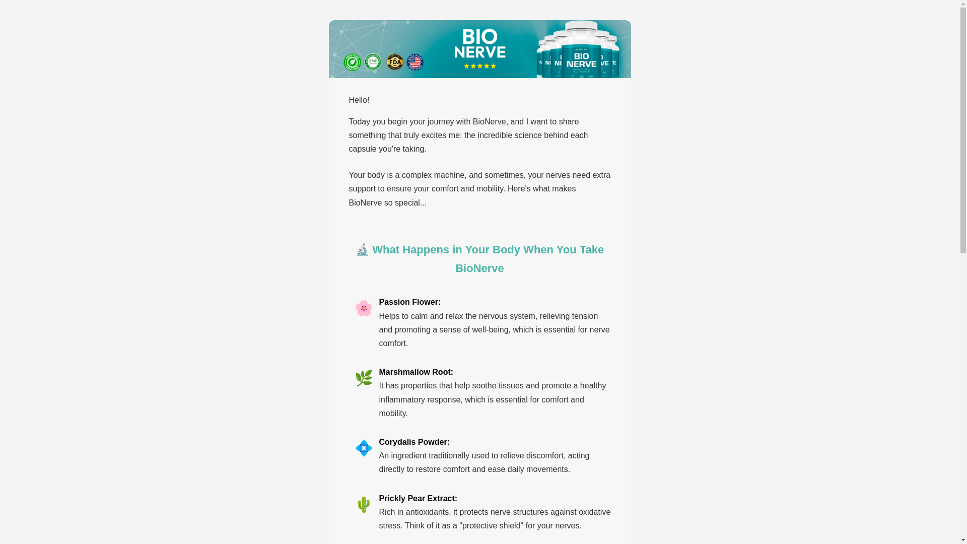 website screenshot of https://bionervewelcome01.pages.dev/