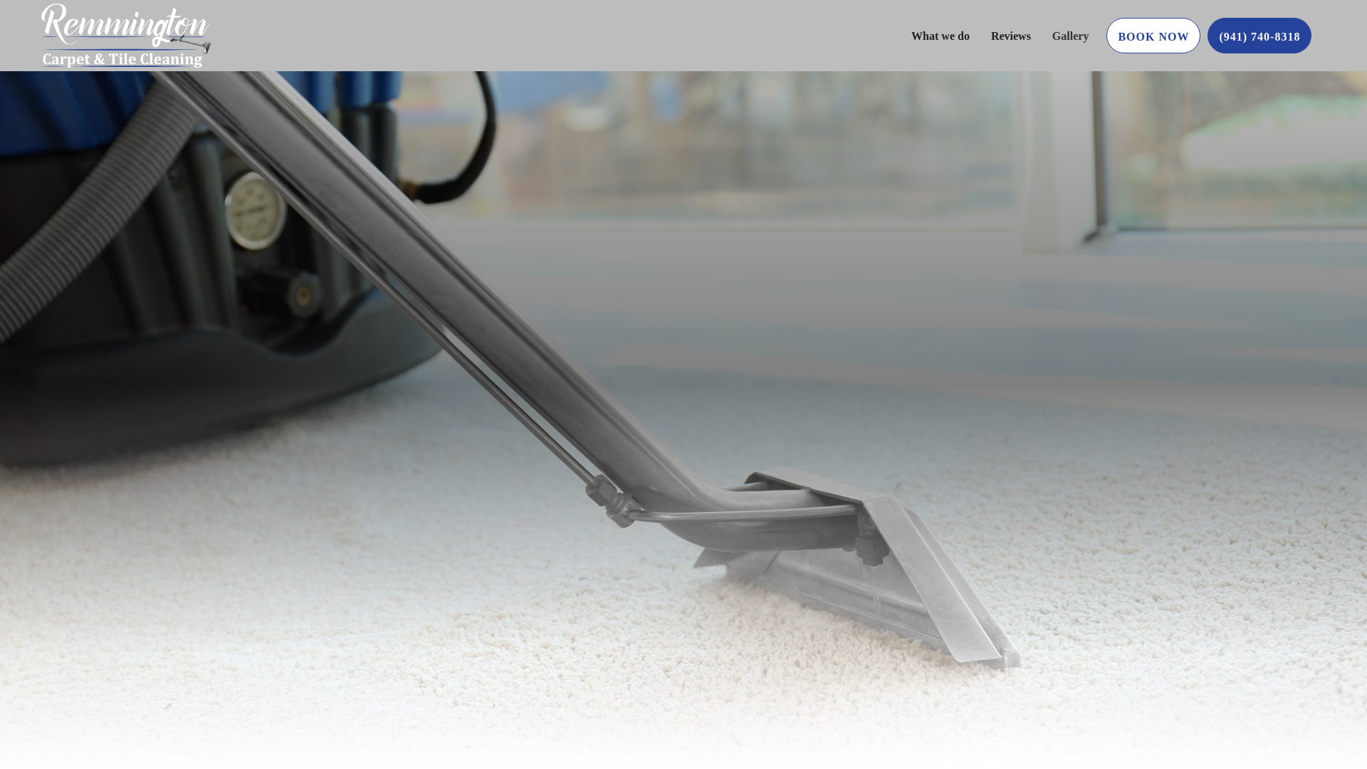 website screenshot of https://remmingtoncarpetcleaning.com