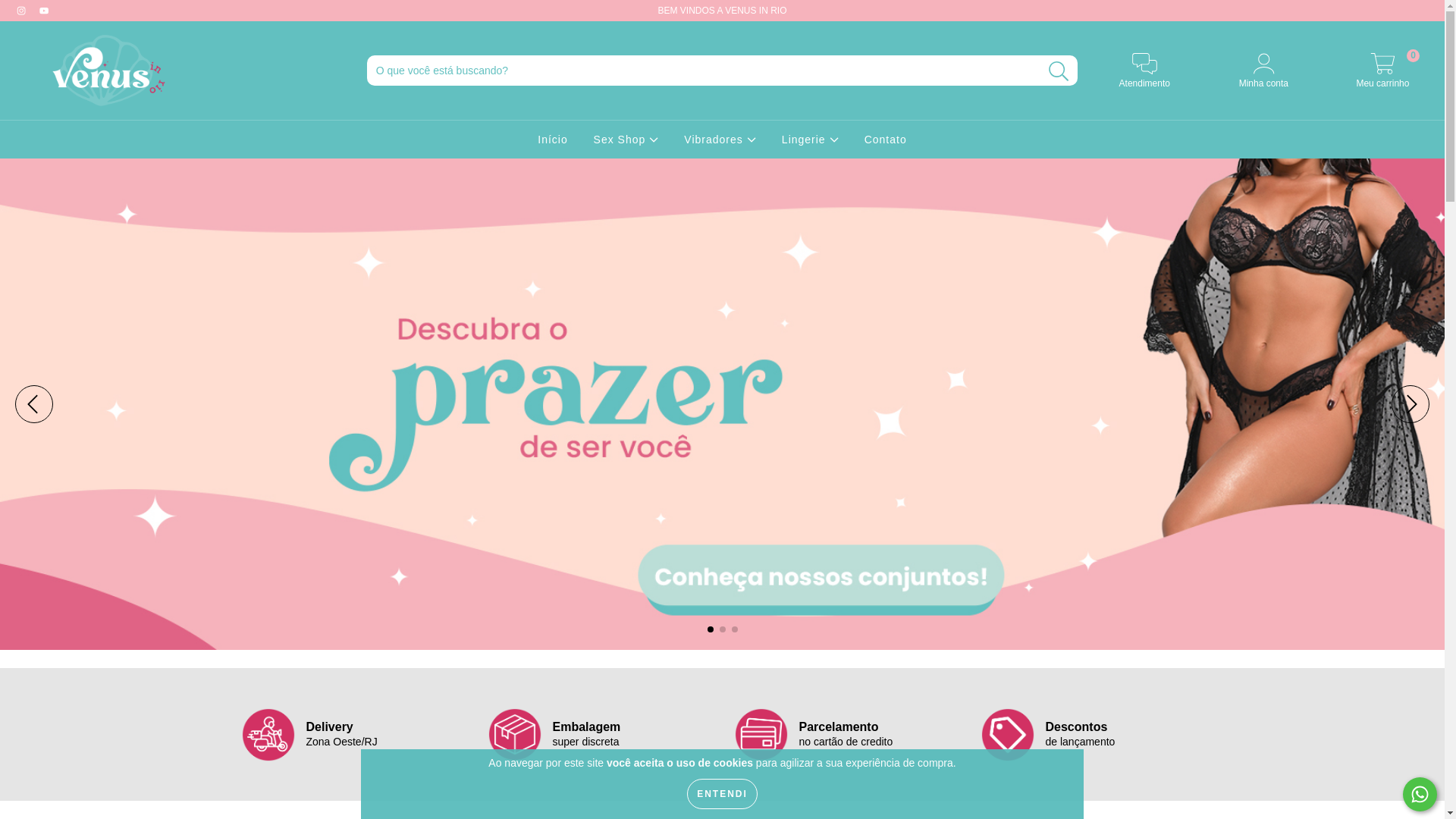 website screenshot of https://venusinrio.com.br/