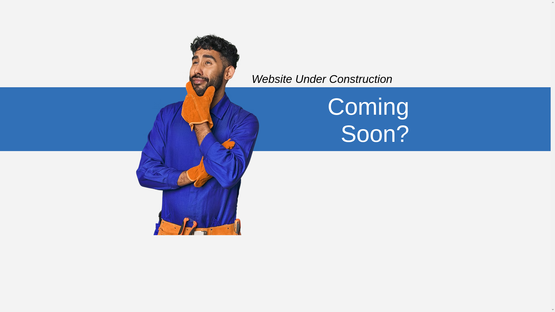 website screenshot of https://dontshopfoodmaxx.net/
