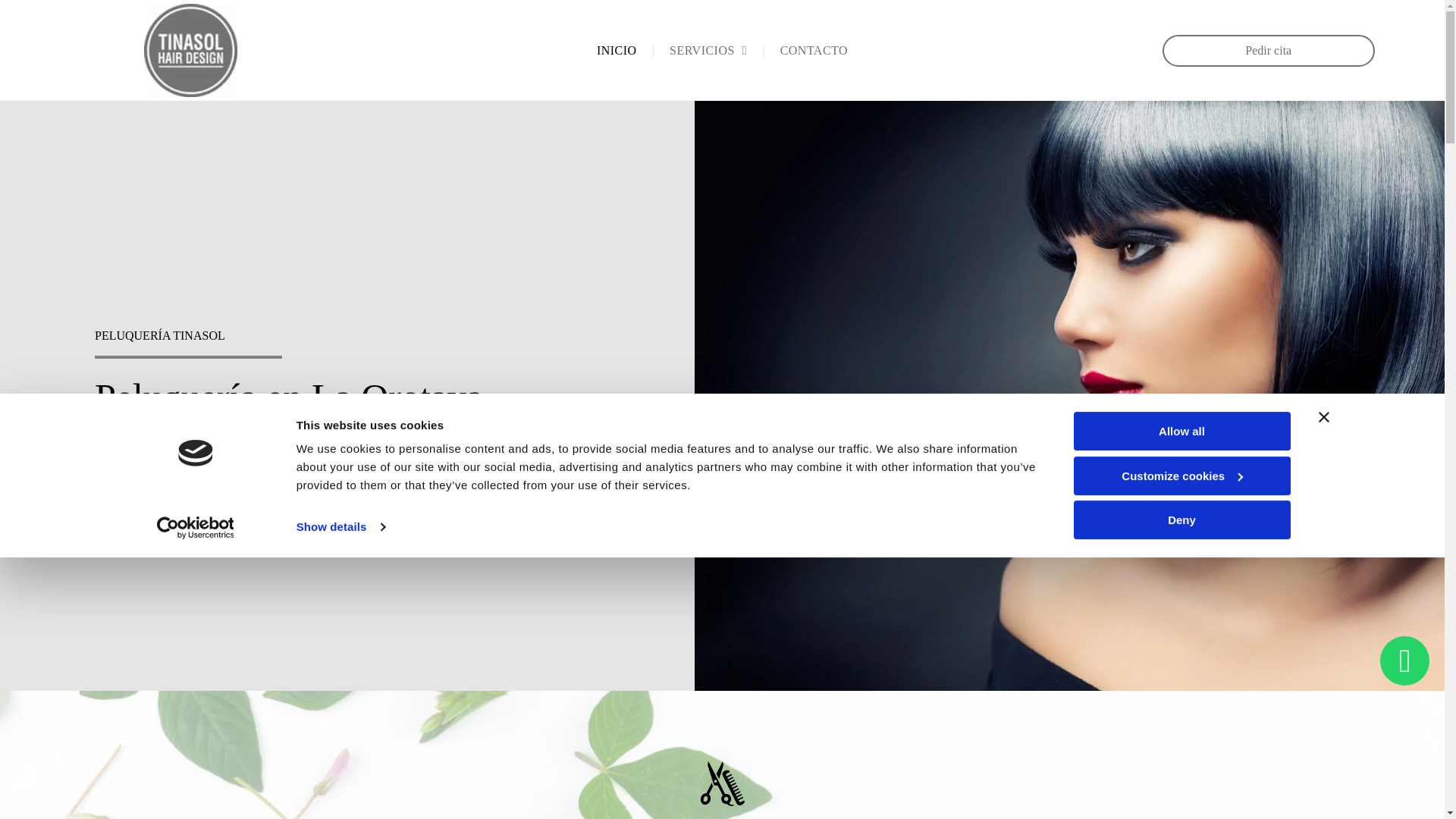 website screenshot of https://tinasolhairdesign.com/
