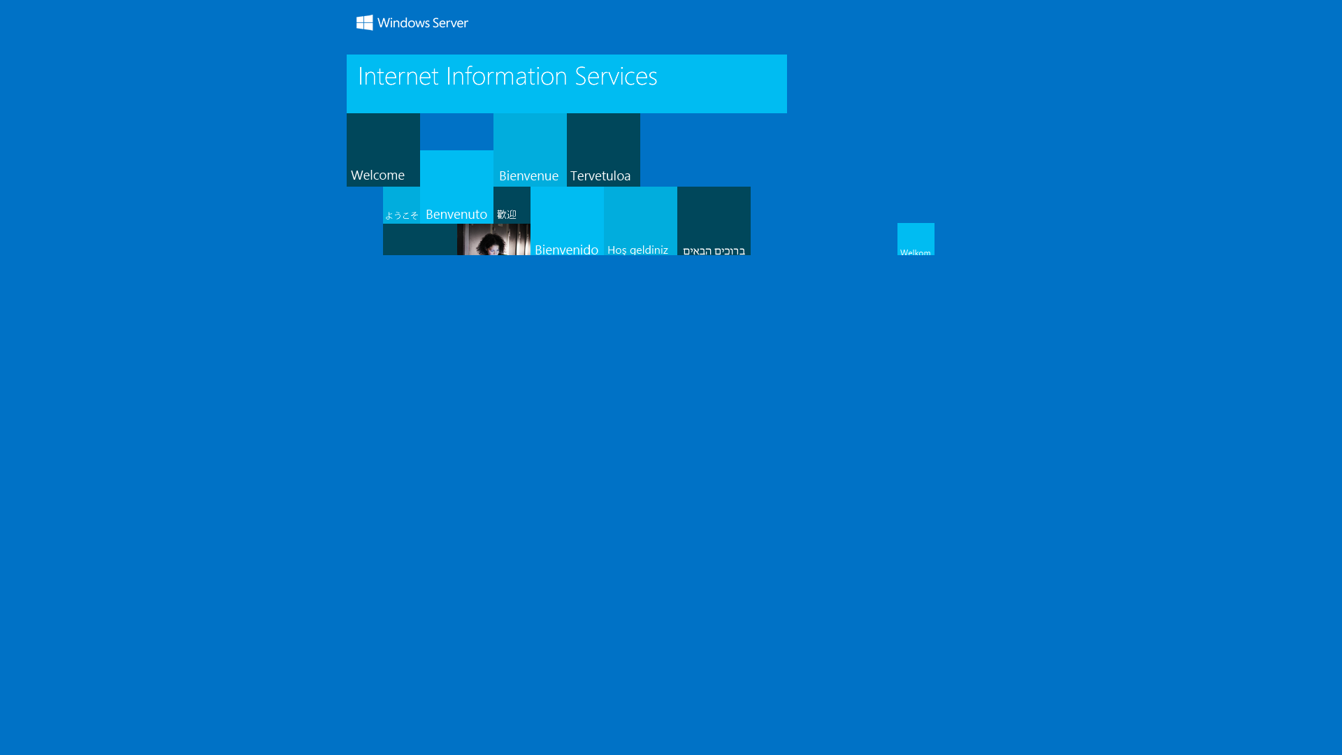 website screenshot of https://netflixcasino786.com
