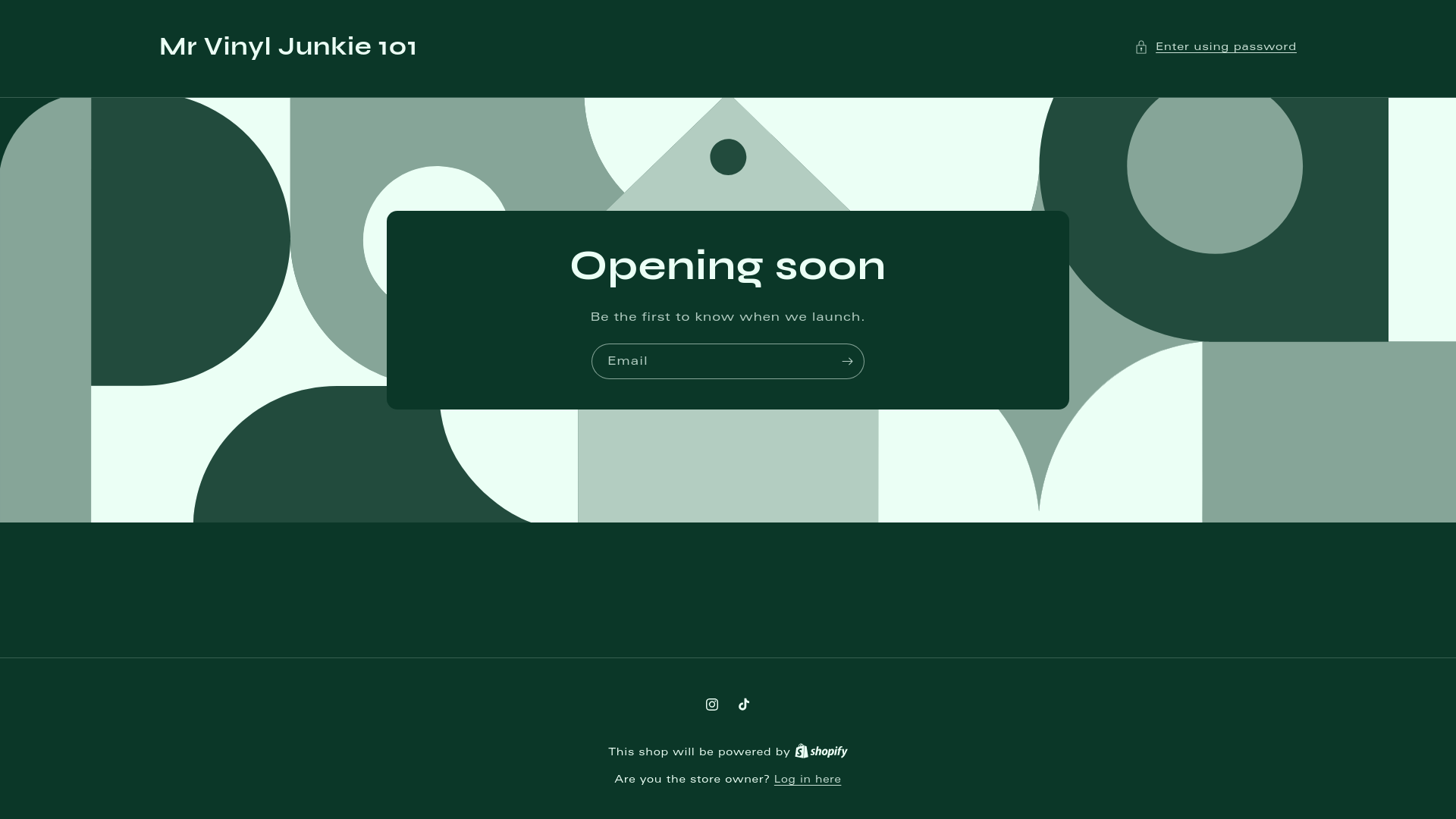 website screenshot of https://mrvinyljunkie101.store/