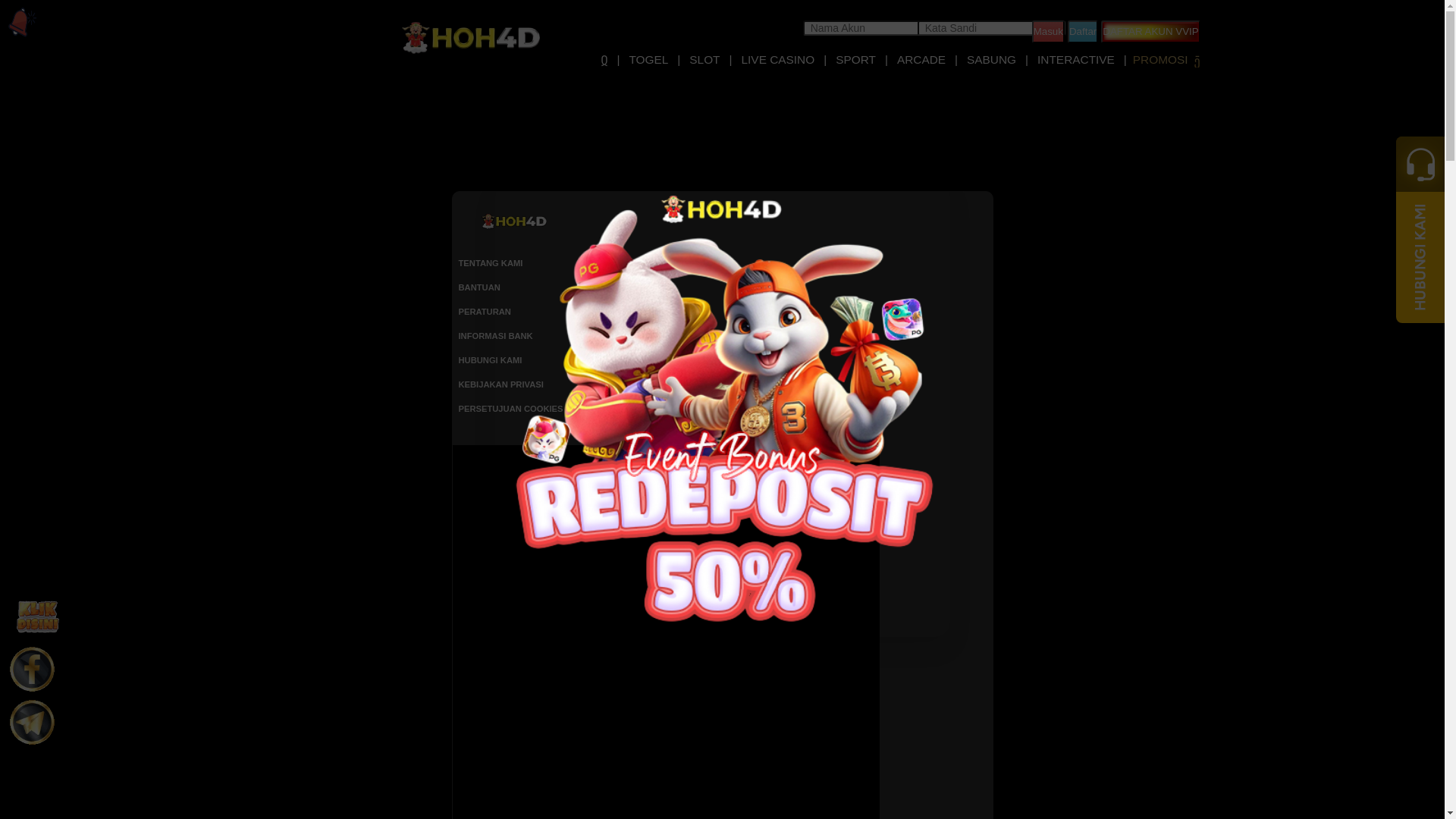 website screenshot of https://hohmantul.com/