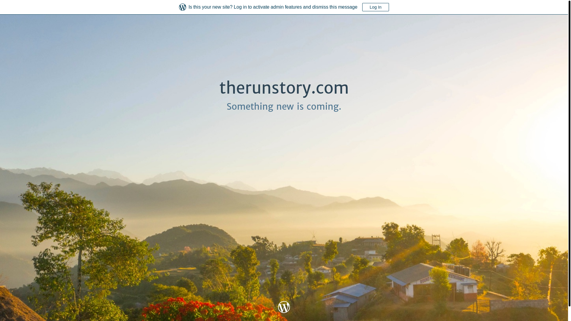 website screenshot of https://therunstory.com/
