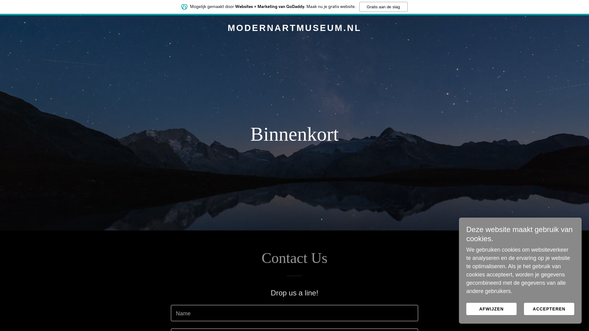 website screenshot of https://modernartmuseum.nl/