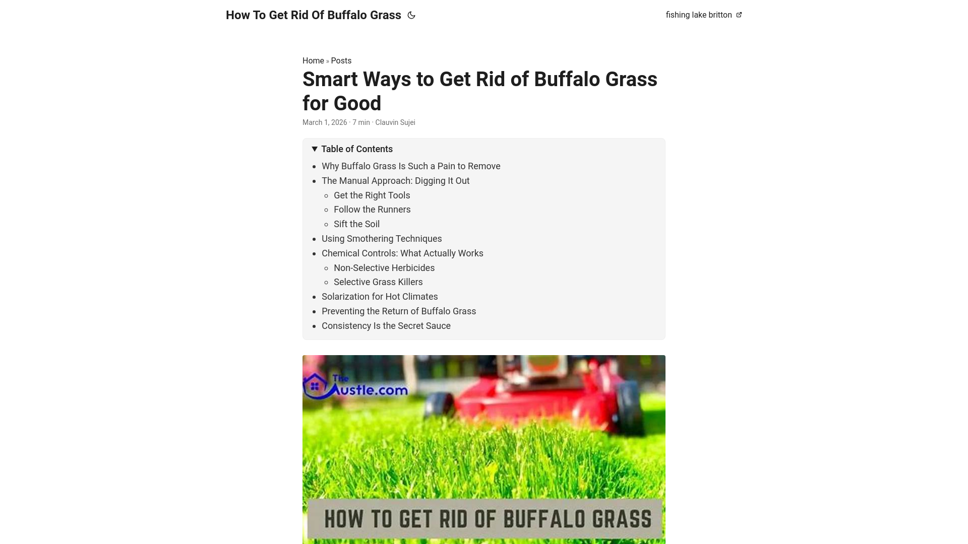 website screenshot of https://how-to-get-rid-of-buffalo-grass.pages.dev/