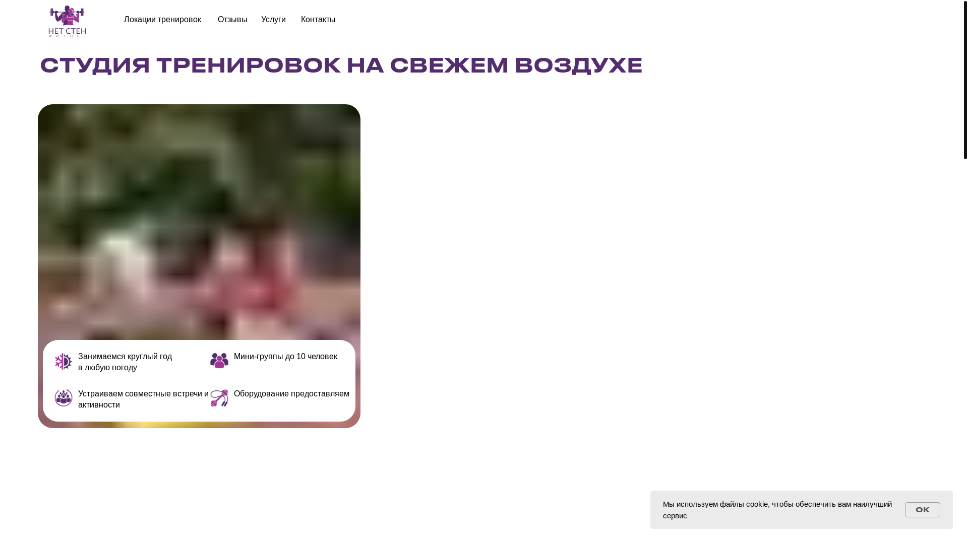 website screenshot of https://net-sten.ru/