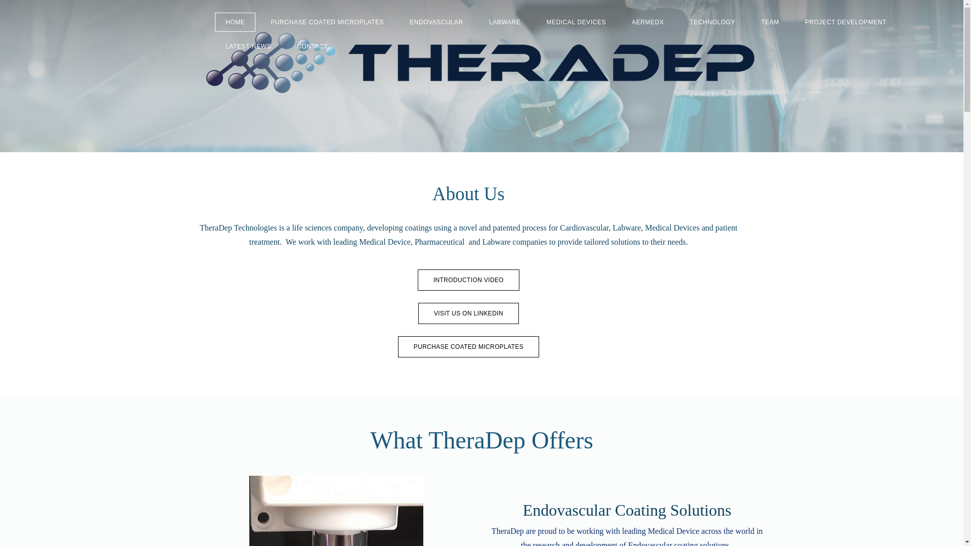 website screenshot of https://theradep.world/