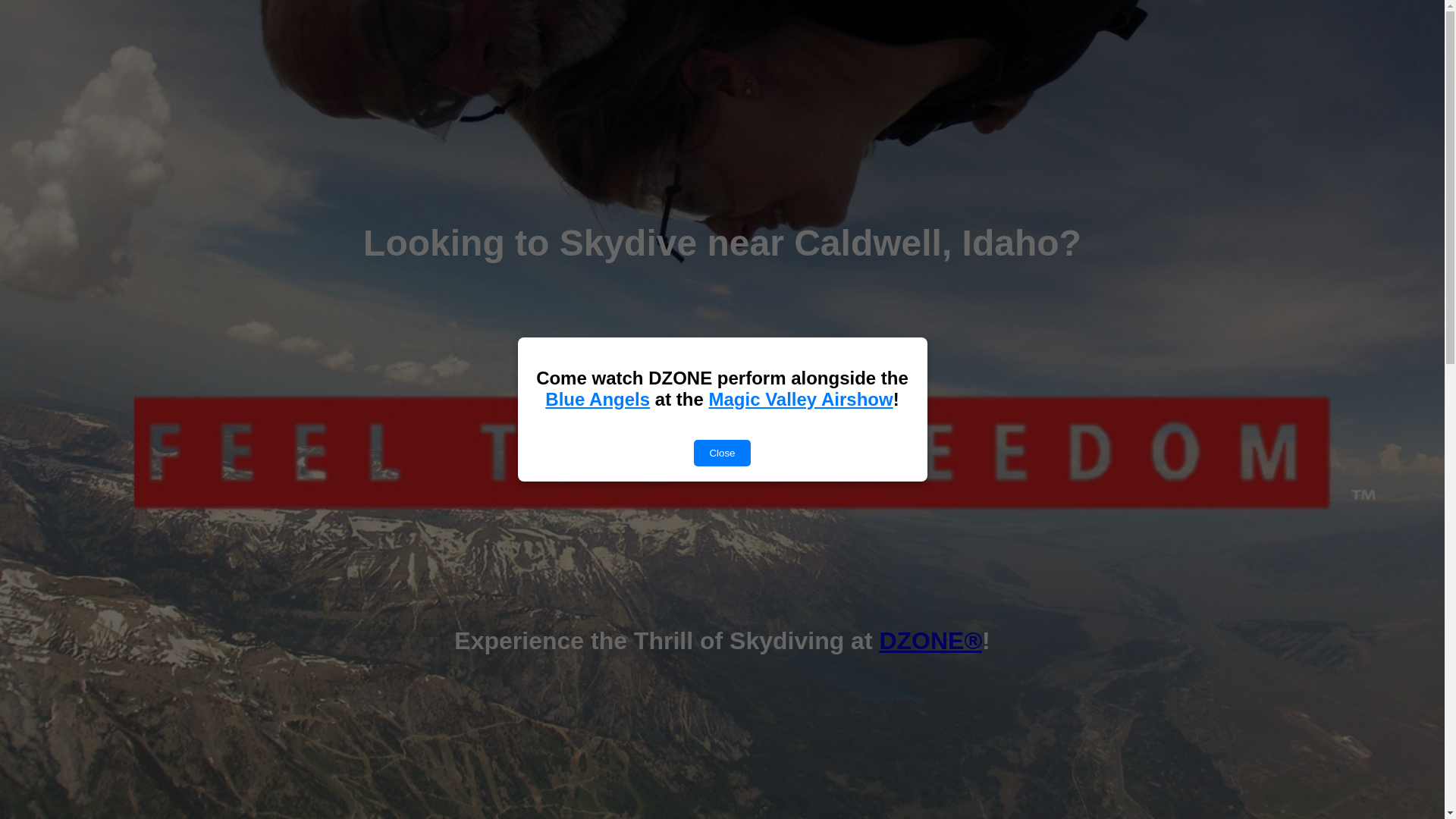 website screenshot of https://skydivecaldwell-com-git.pages.dev/
