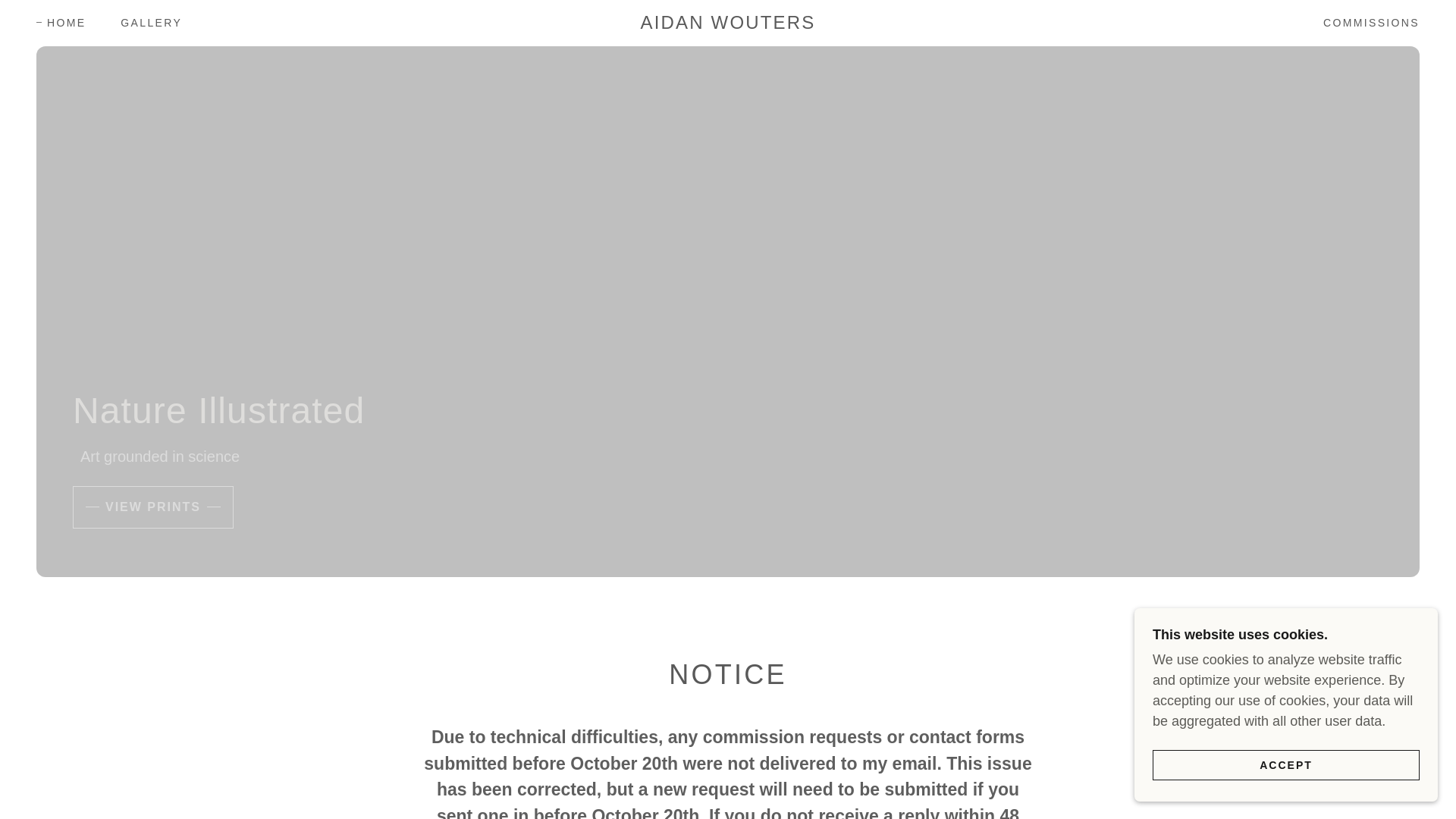 website screenshot of https://aidanwouters.ca