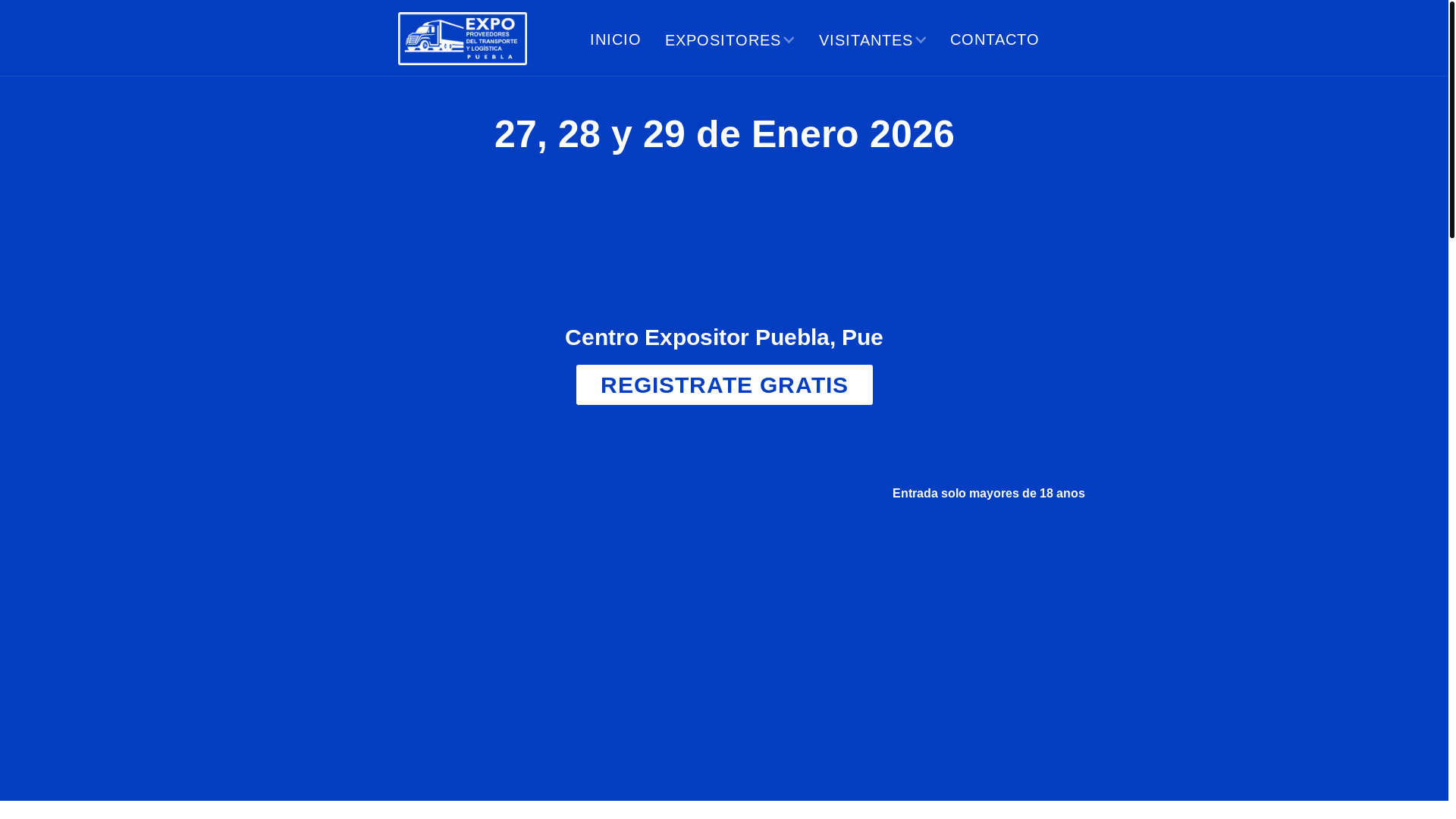website screenshot of https://website-etyl-puebla.pages.dev/