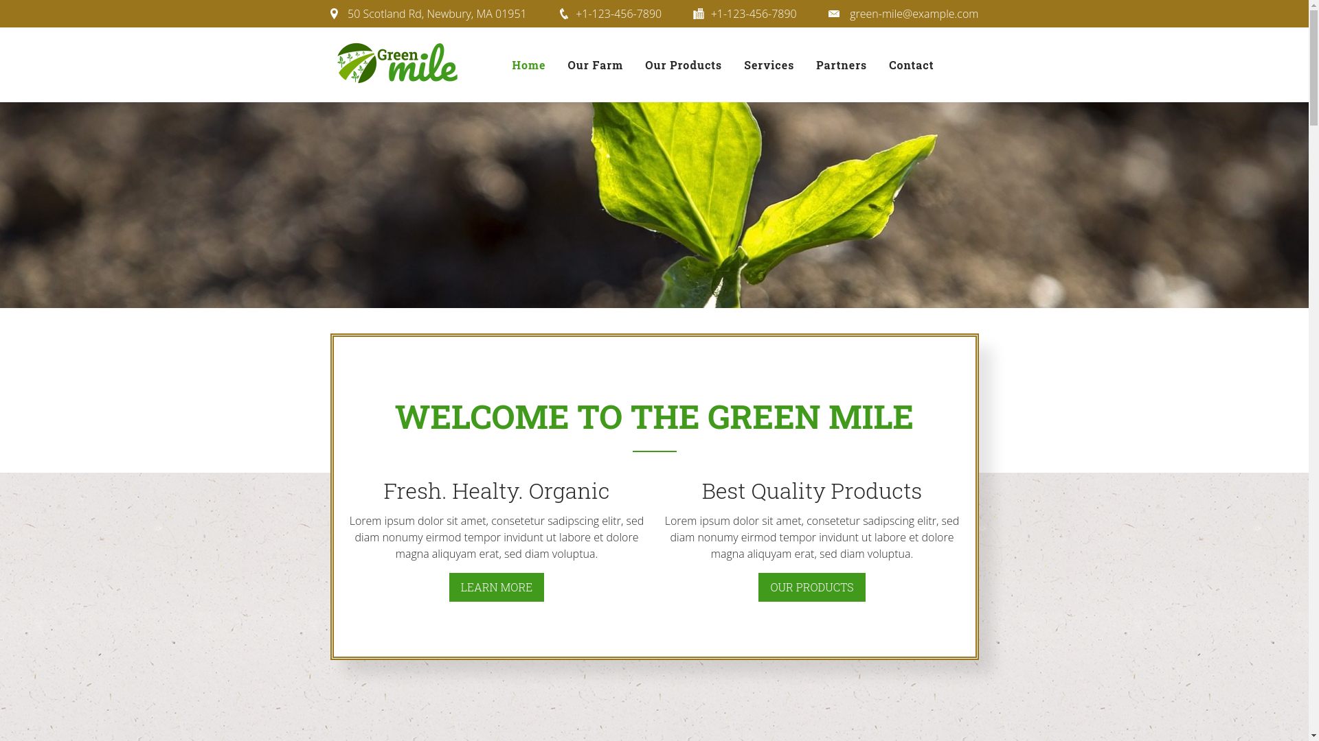 website screenshot of https://cellfastpartner.cz/
