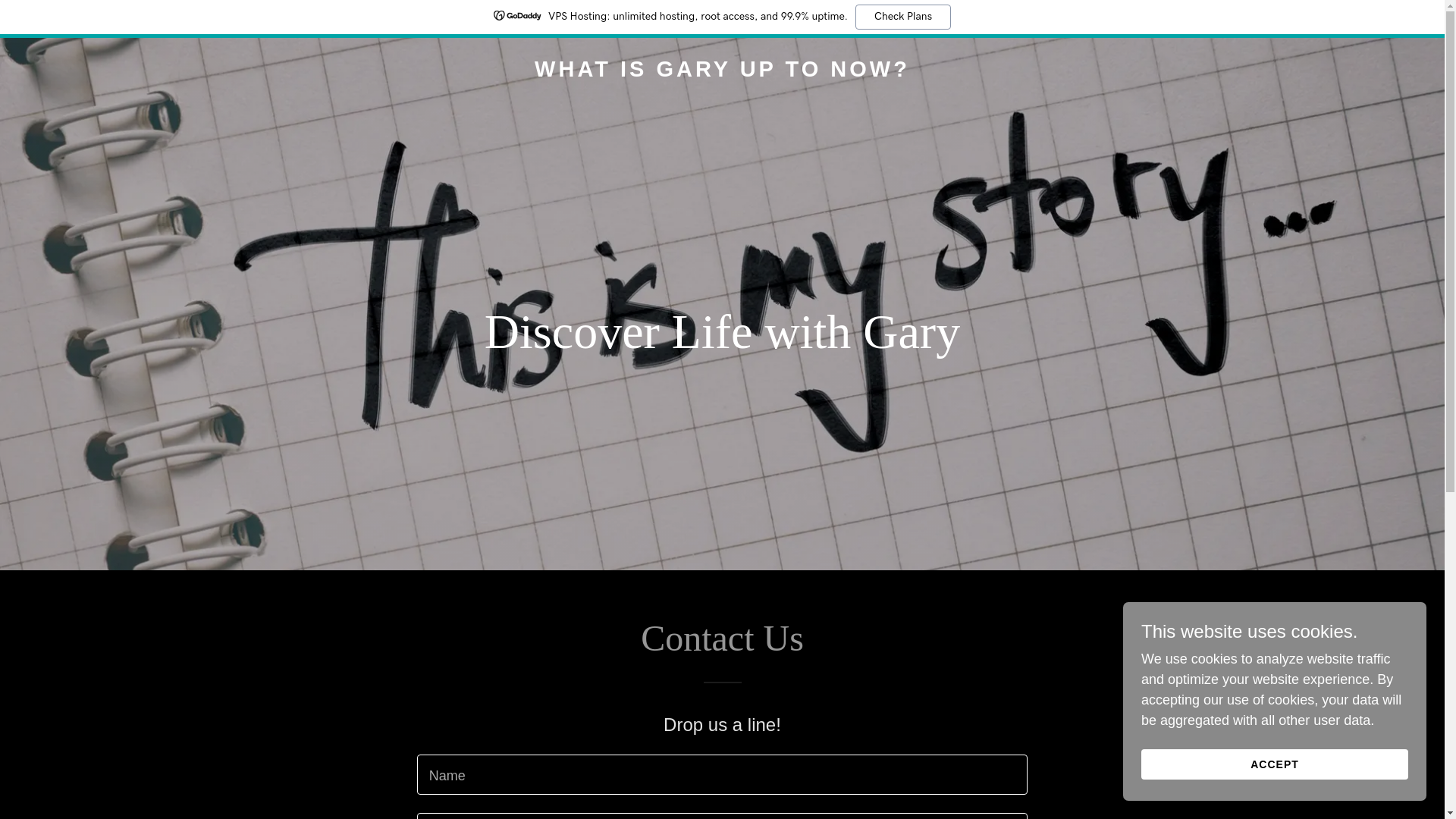 website screenshot of https://garynow.com/